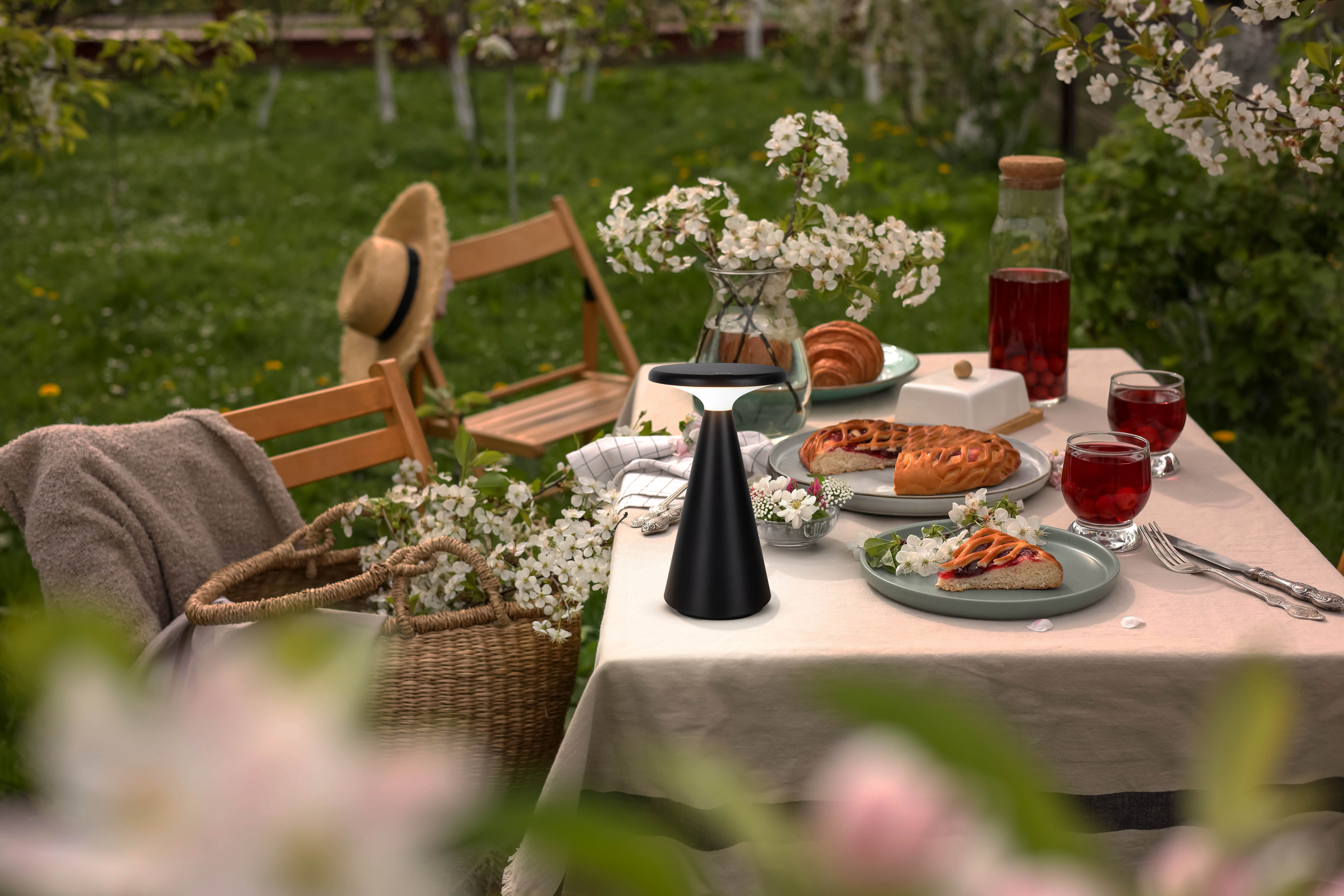 Ein schwarzer tragbarer Lautsprecher in der Mitte eines Tisches, der für ein Picknick in einem blühenden Garten gedeckt ist.