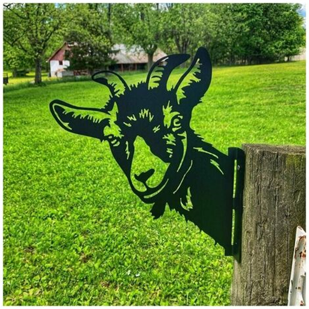 Ein schwarzes Ziegen-Silhouette, die über einen Holzzaun in einem grünen Feld schaut.