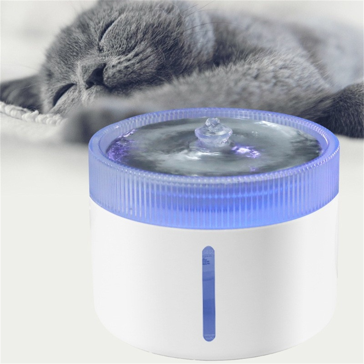 Eine Katze ruht in der Nähe eines Wasserbrunnens. Der Brunnen hat ein blaues Licht und Wasser, das nach oben spritzt.
