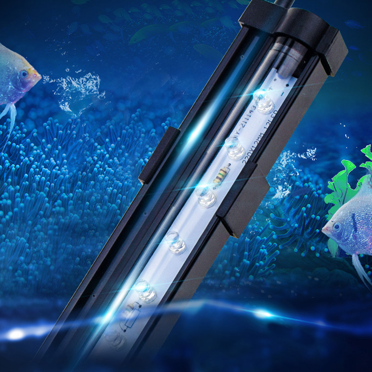 Aquarienlicht mit blauer LED, Fischen, grünen Pflanzen und Blasen im Wasser, schwarzem Rahmen.