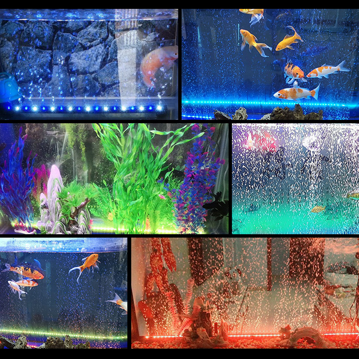 Eine Collage von sechs Aquariumszenen. Fische schwimmen zwischen Pflanzen unter farbigem Licht.