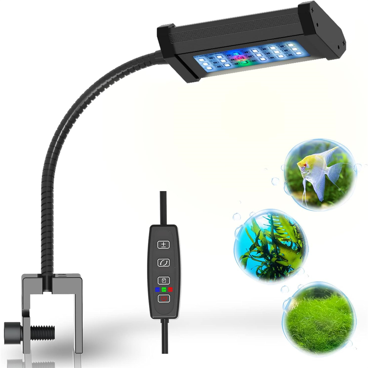 Eine schwarze flexible Armlampe mit LED-Leuchten. Rechts sind Fische in Blasen.