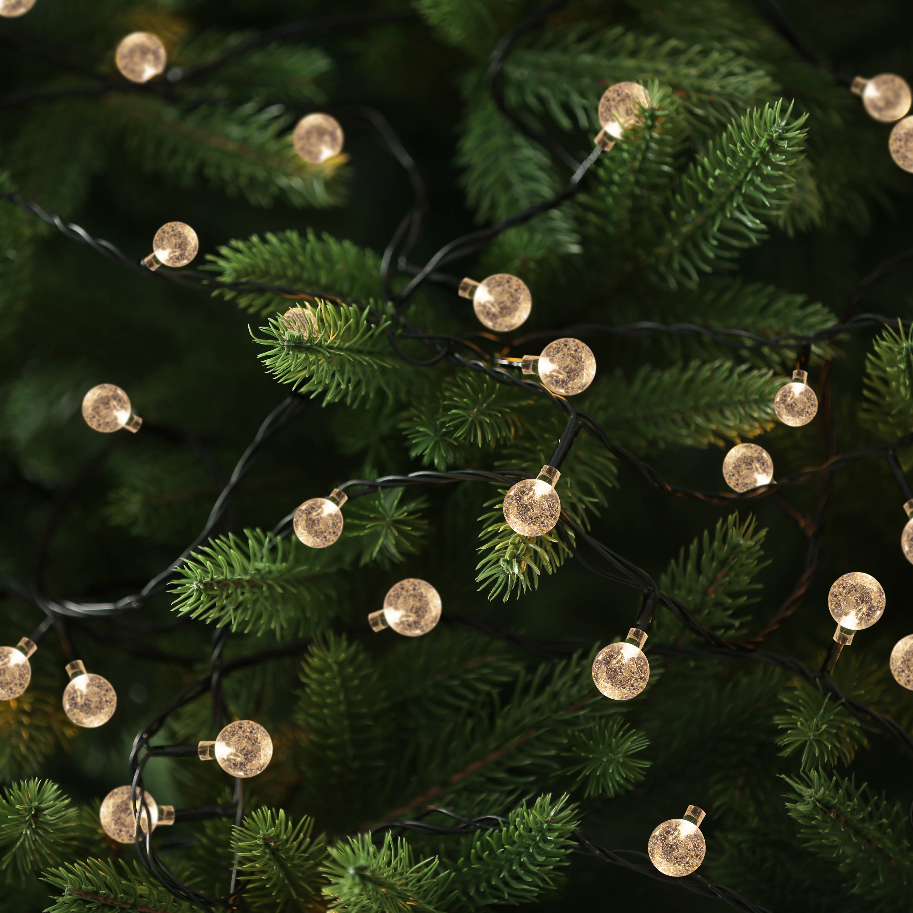 Weihnachtsbaum mit vielen kleinen, runden, klaren Lichtern, die eine festliche Atmosphäre schaffen.