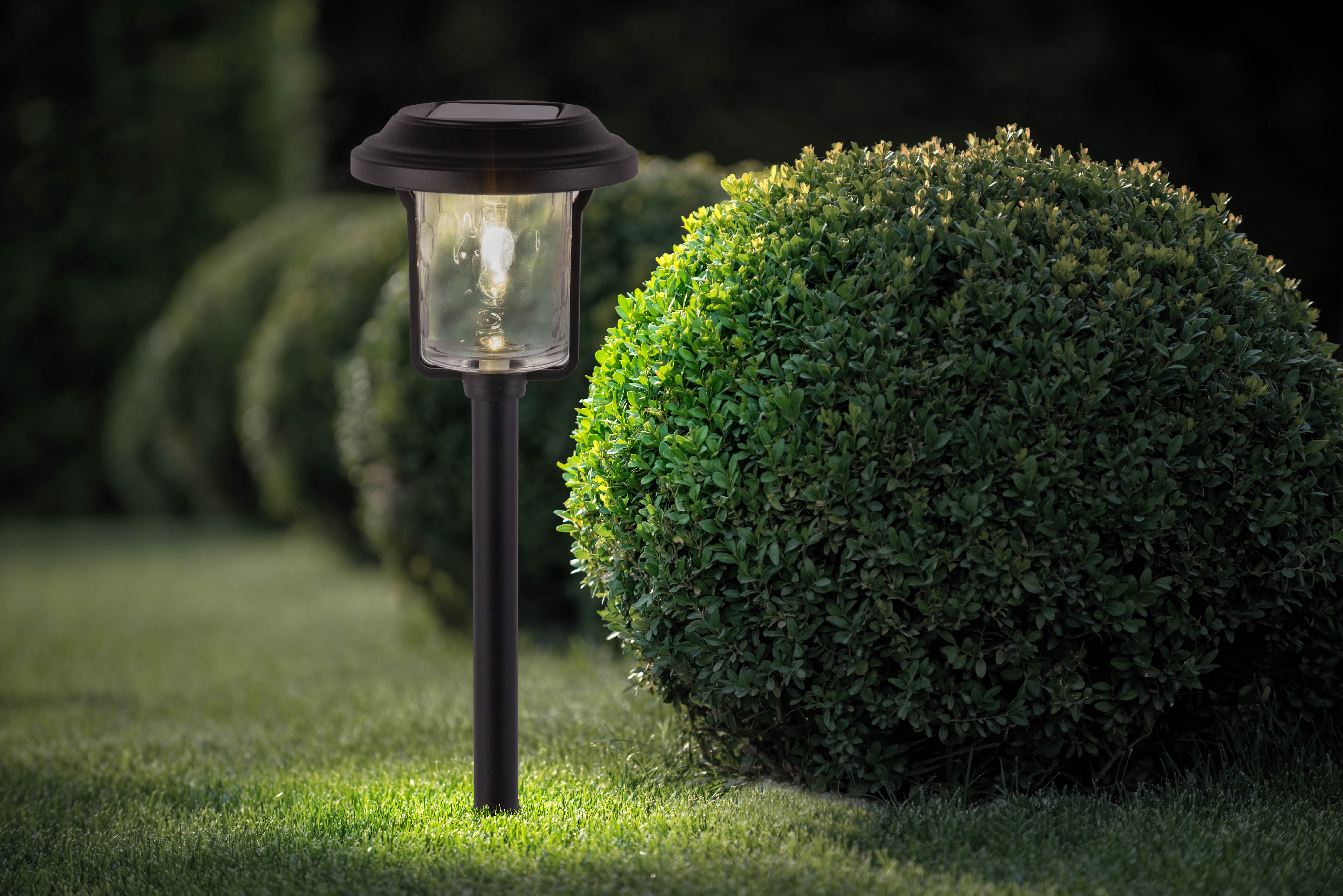 Eine Solar-Gartenleuchte. Sie ist schwarz und hat eine klare Glaskugel. Grünes Gebüsch dahinter.