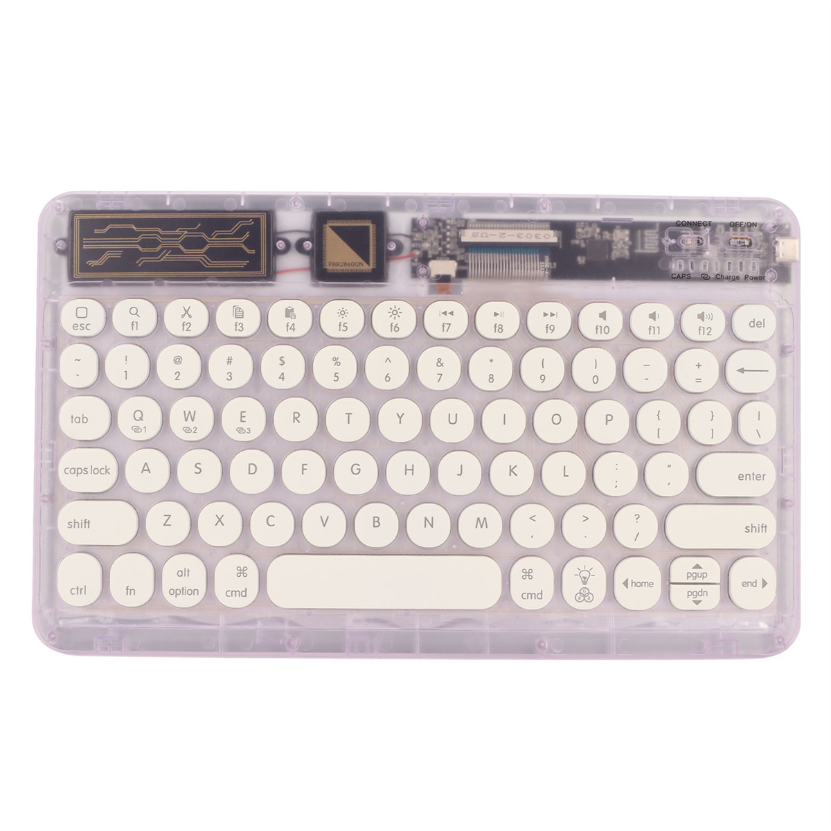 Eine transparente Tastatur mit weißen Tasten und einer darin sichtbaren Leiterplatte.