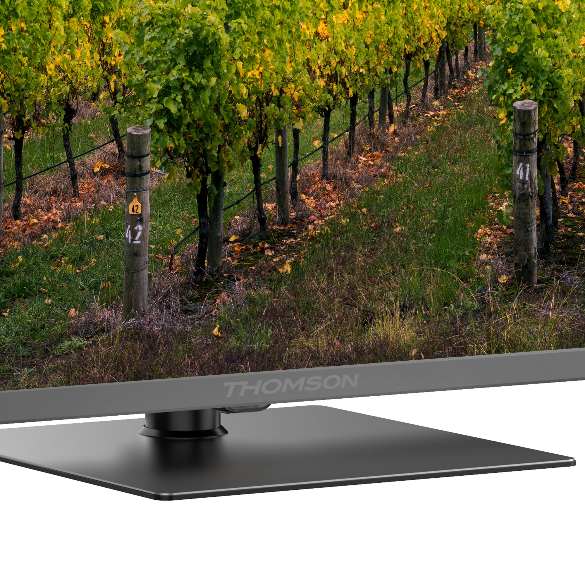 TV Thomson con vigneti sullo sfondo, che mostra un primo piano della base e dei vigneti.