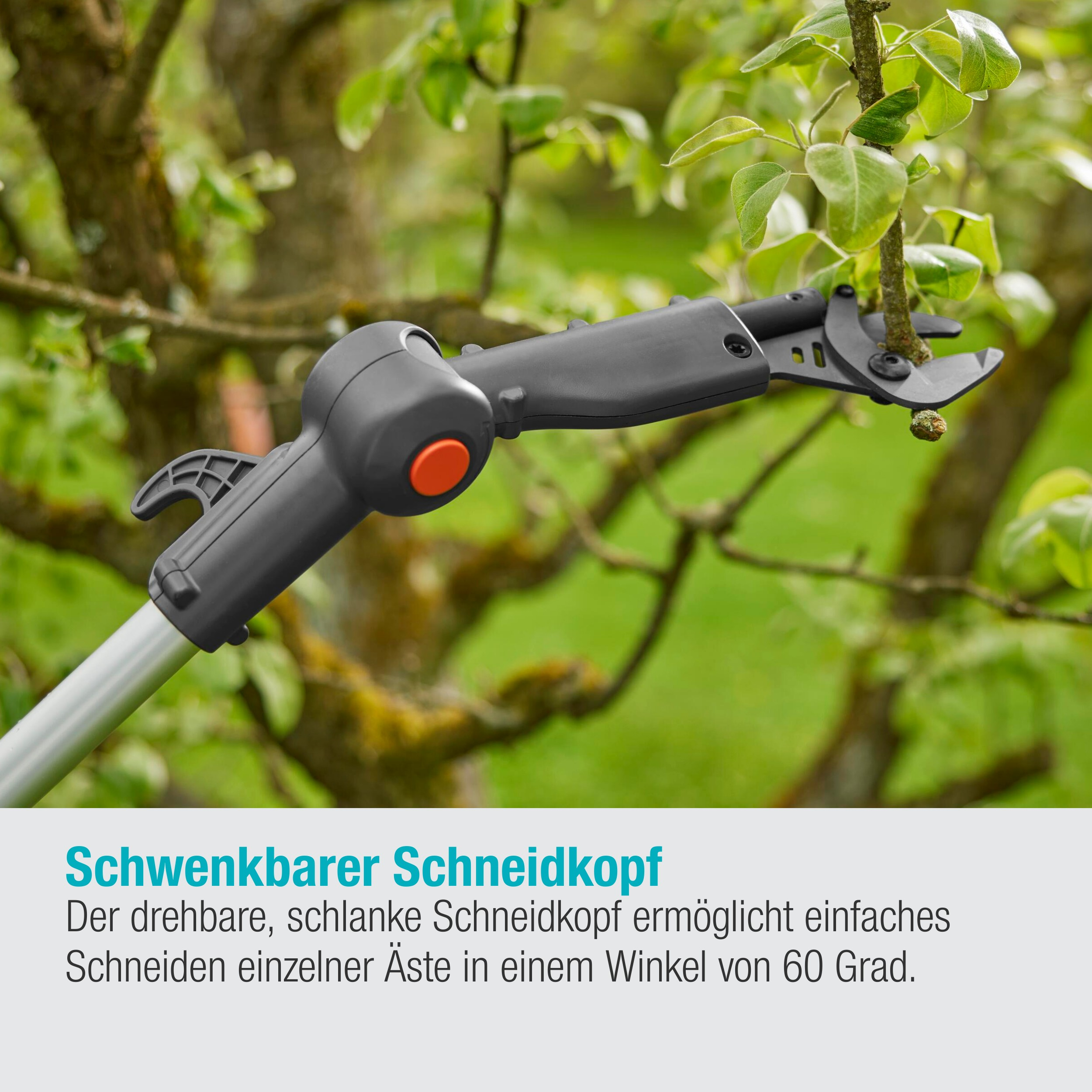 Eine schwarz-graue Gartenschere schneidet einen Ast. Grüne Blätter sind im Hintergrund.