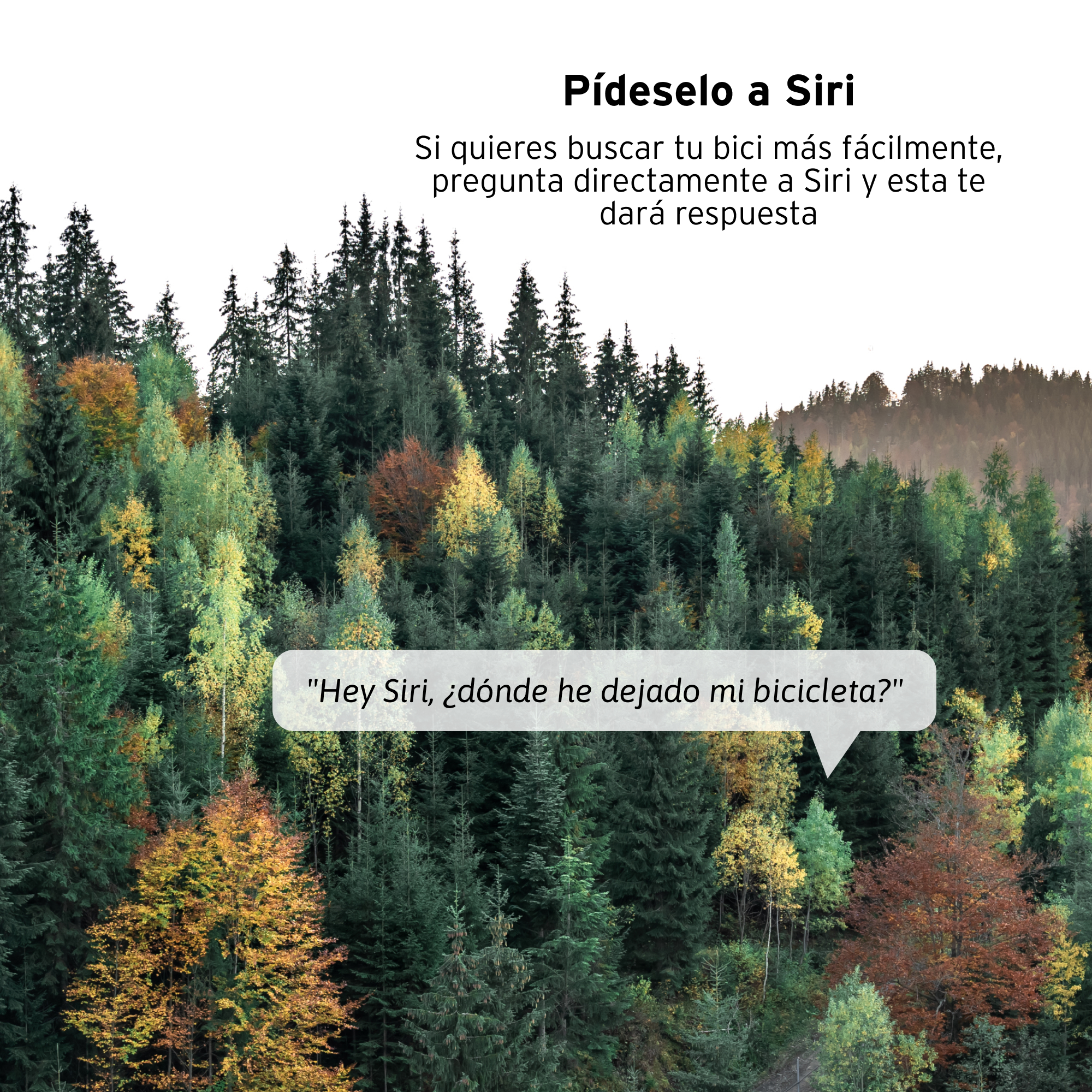 Escena de bosque con bocadillo de texto que pregunta a Siri dónde dejó la bicicleta.