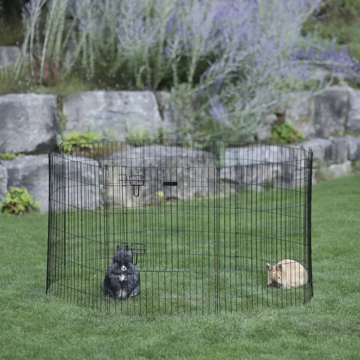Zwei Kaninchen in einem Drahtkäfig auf Gras. Hintergrund: Pflanzen und Steinmauer.