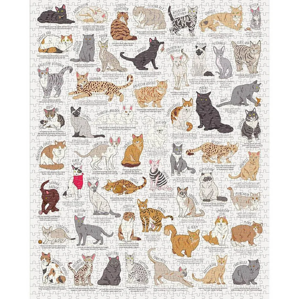 Un puzzle di razze di gatti con molti gatti diversi.