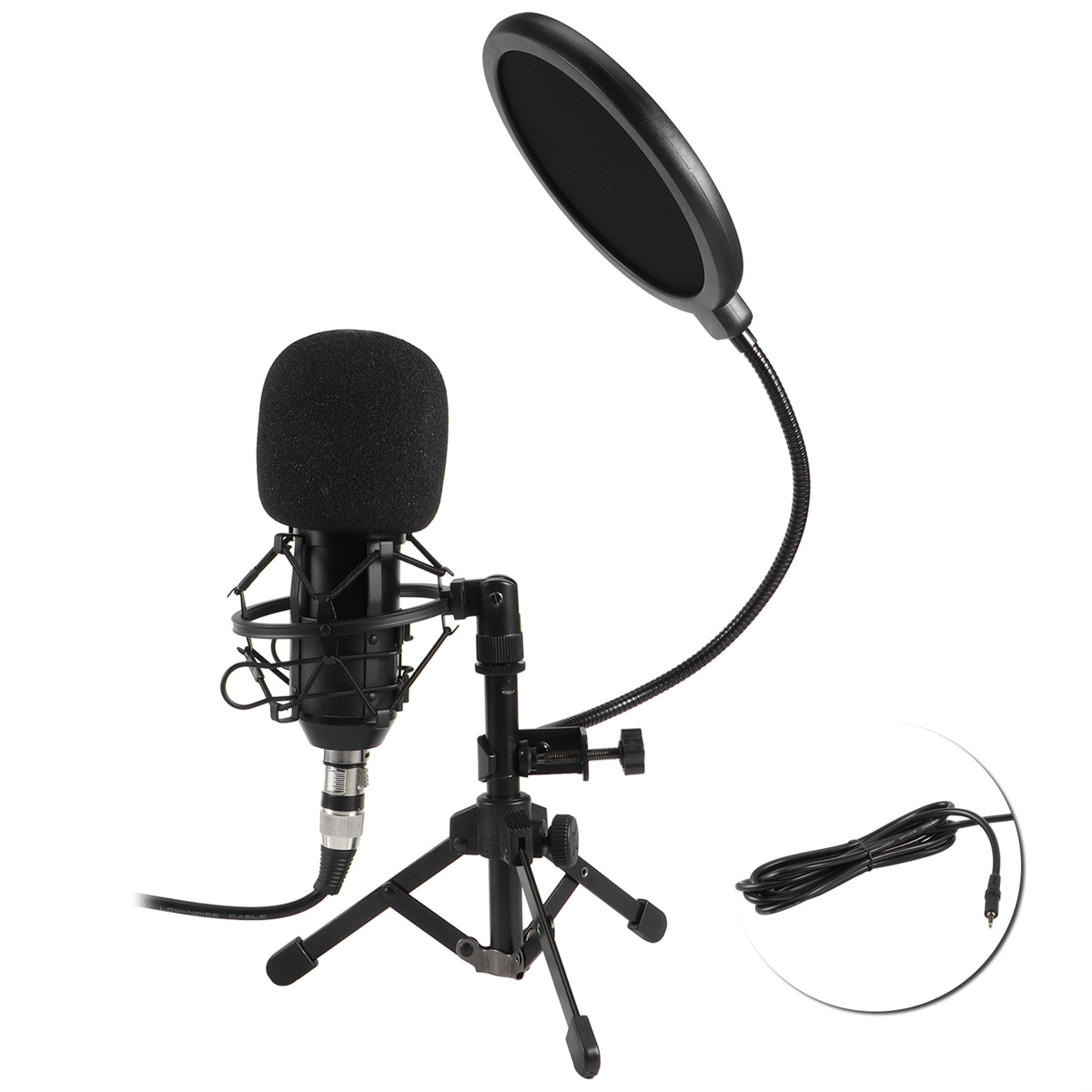Ein schwarzes Mikrofon auf einem Ständer mit Pop-Filter und Kabel.