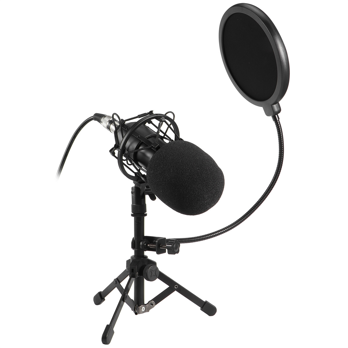 Ein Mikrofon mit Pop-Filter und Ständer. Das Mikrofon ist schwarz.