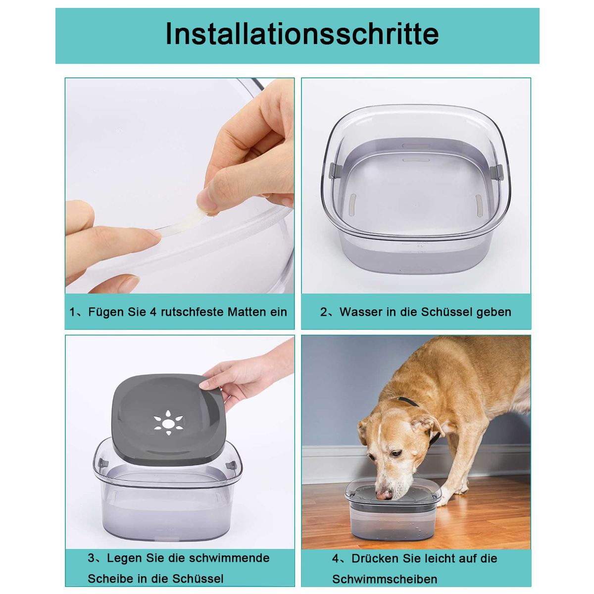 Ein Hund frisst aus einer durchsichtigen, quadratischen Schüssel. Anleitungen zeigen, wie man die Schüssel zusammenbaut. Es hat einen Deckel.