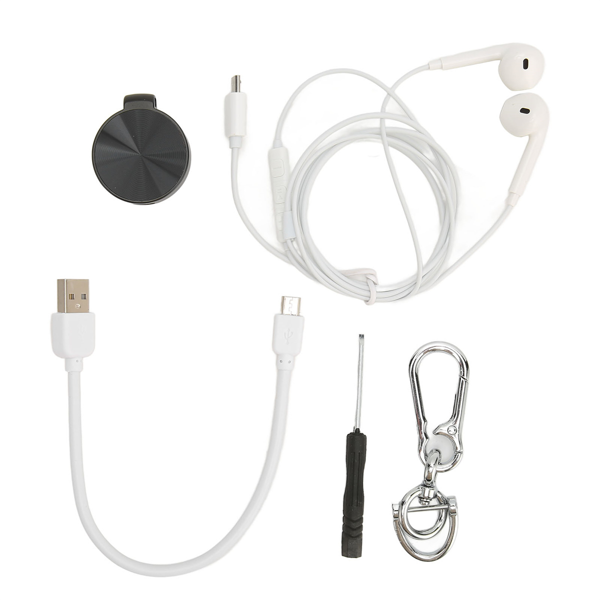 Verschiedenes weißes technisches Zubehör: Kopfhörer, USB-Kabel, ein schwarzer Clip und ein Schraubendreher. Weißer Hintergrund.