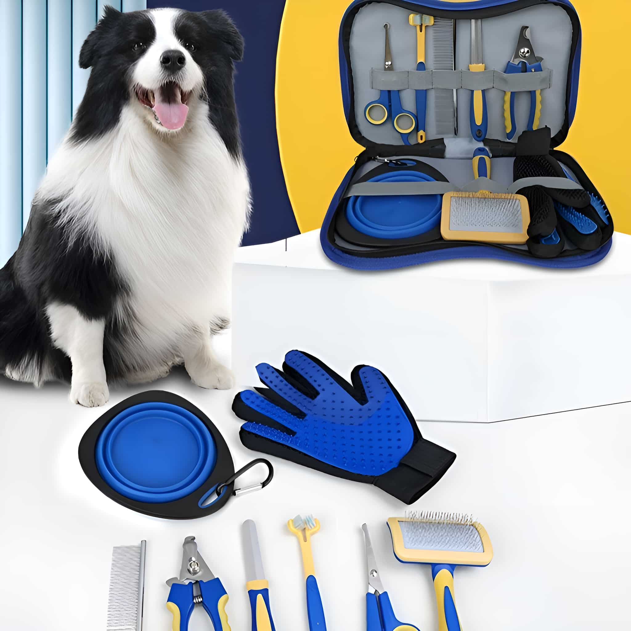 Ein Hund, ein Pflege-Set und Zubehör werden angezeigt. Der Hund ist schwarz-weiß, das Set blau und gelb.