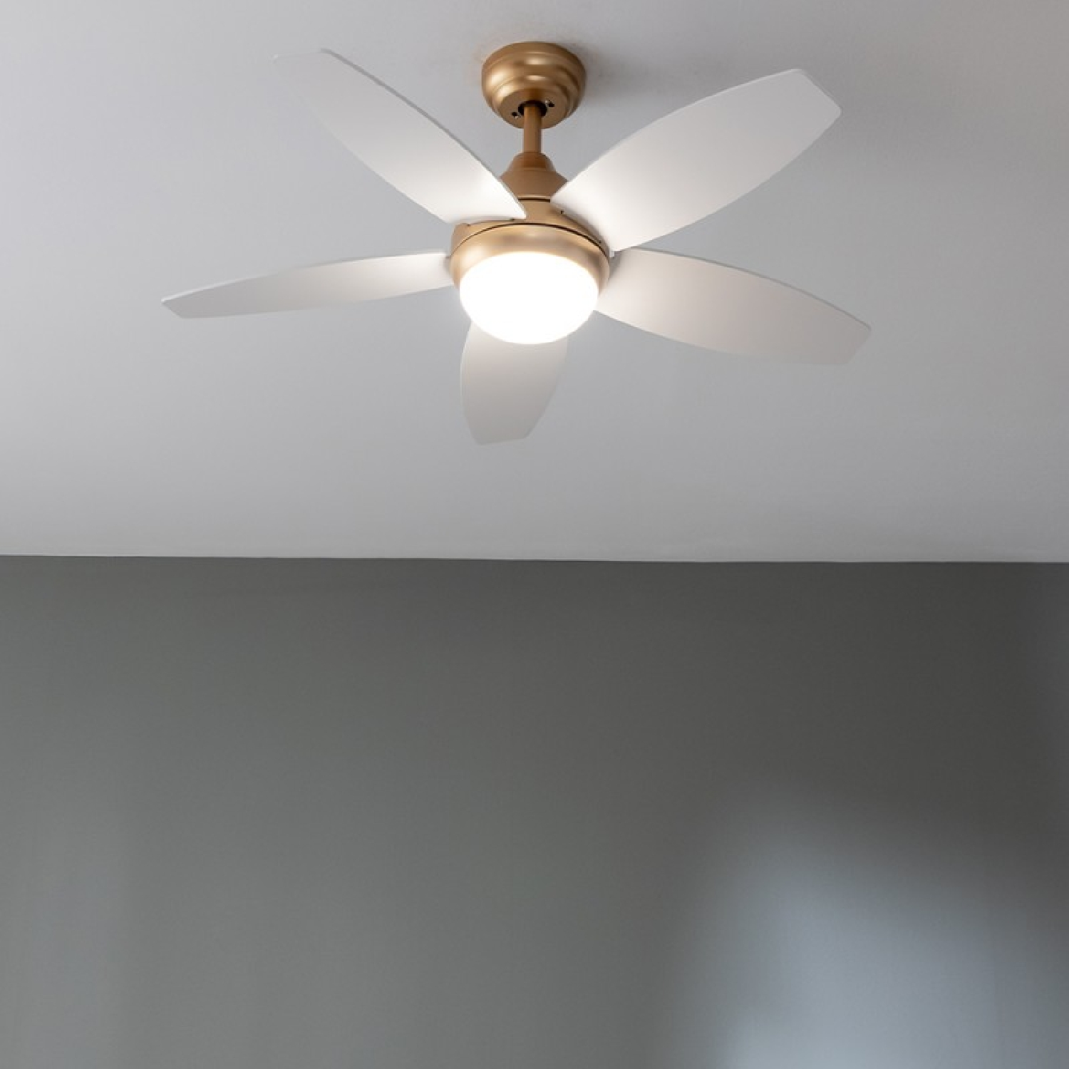 Ein Deckenventilator mit fünf weißen Flügeln und einem goldenen Sockel, vor weißer Decke und grauer Wand.