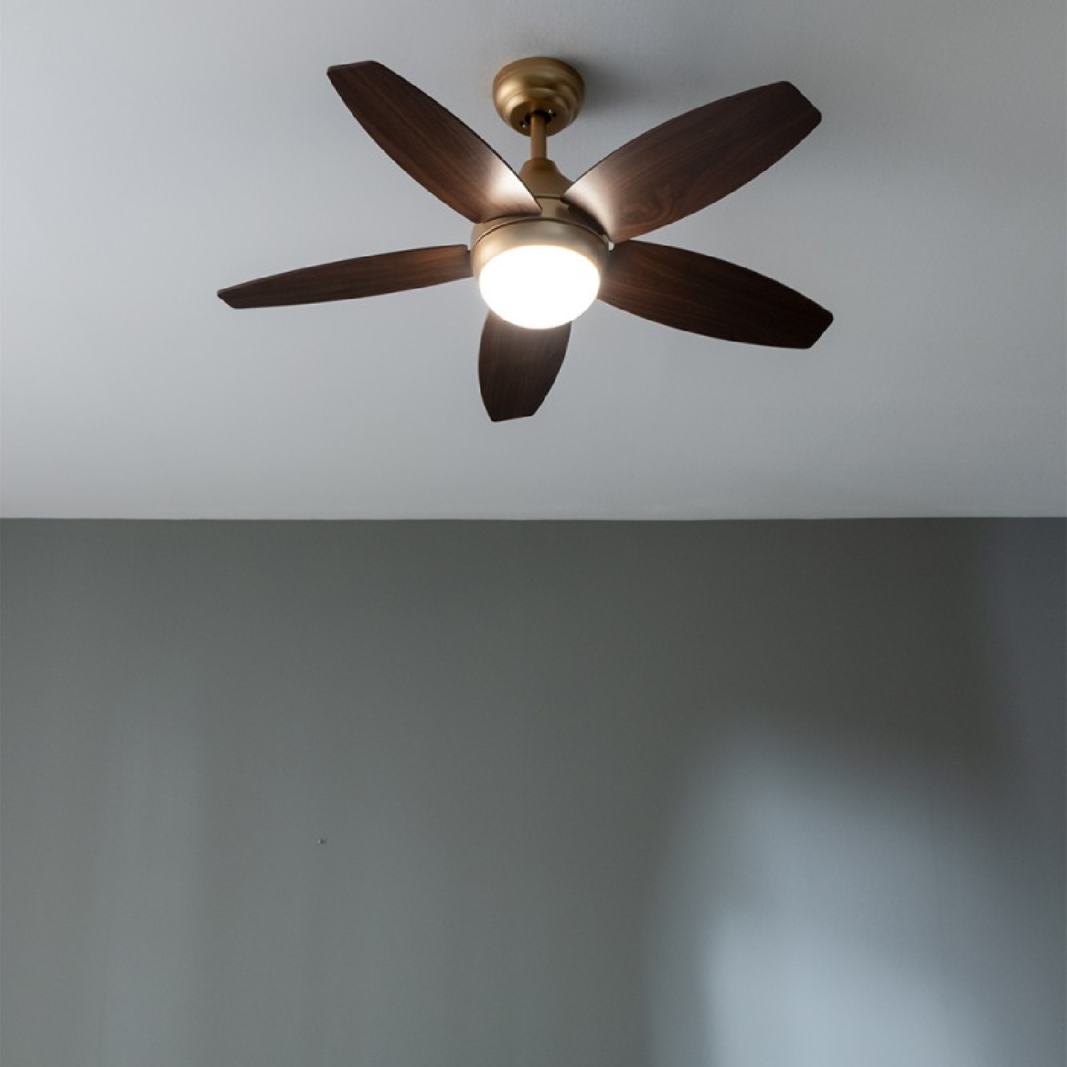Ventilatore a soffitto con cinque pale in legno scuro e un'apparecchio di illuminazione, da un'angolazione bassa.