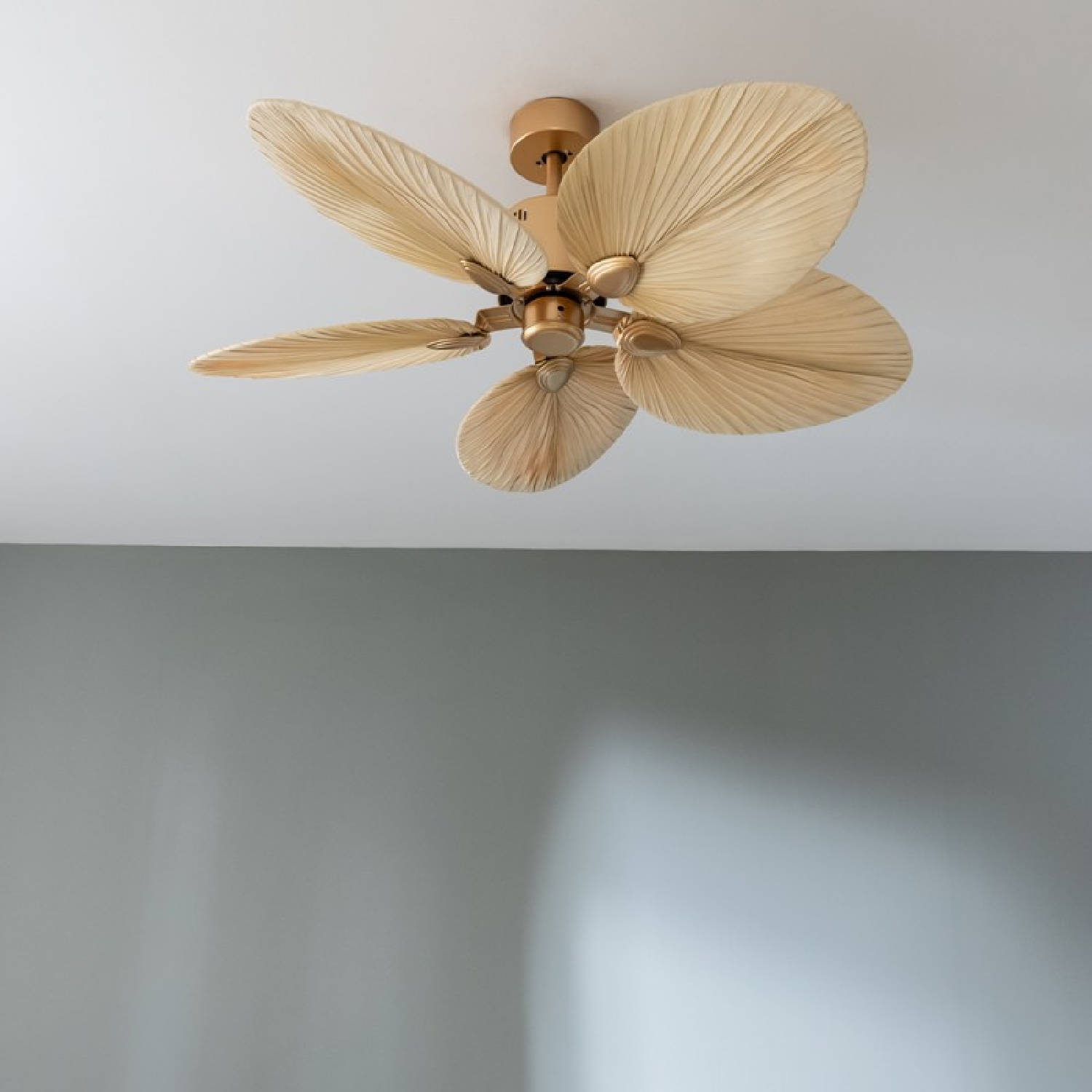 Ventilador de techo con aspas beige y curvas, accesorio dorado, montado en un techo blanco.
