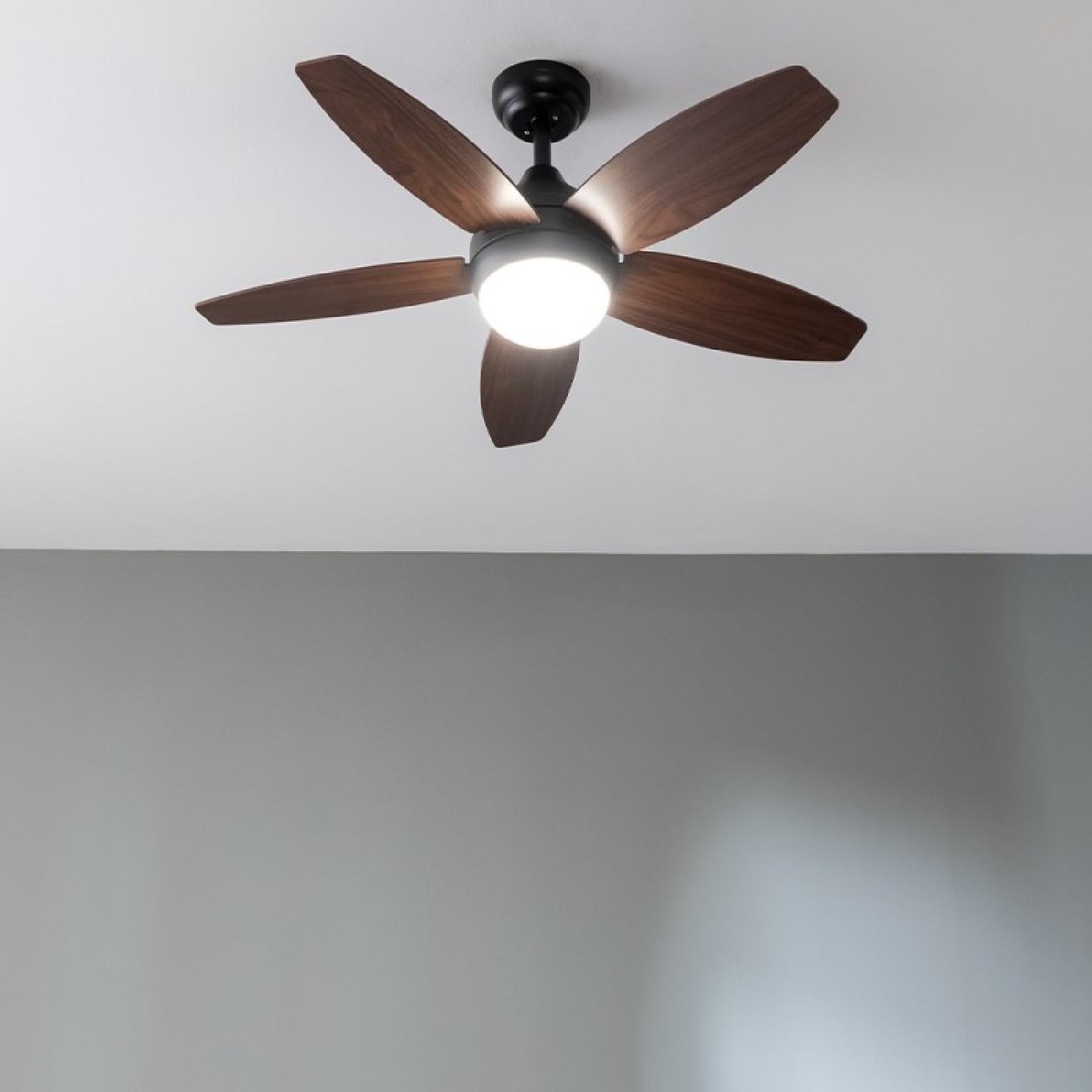 Un ventilatore a soffitto con pale in legno scuro e un'apparecchiatura luminosa. Parete grigia sullo sfondo.
