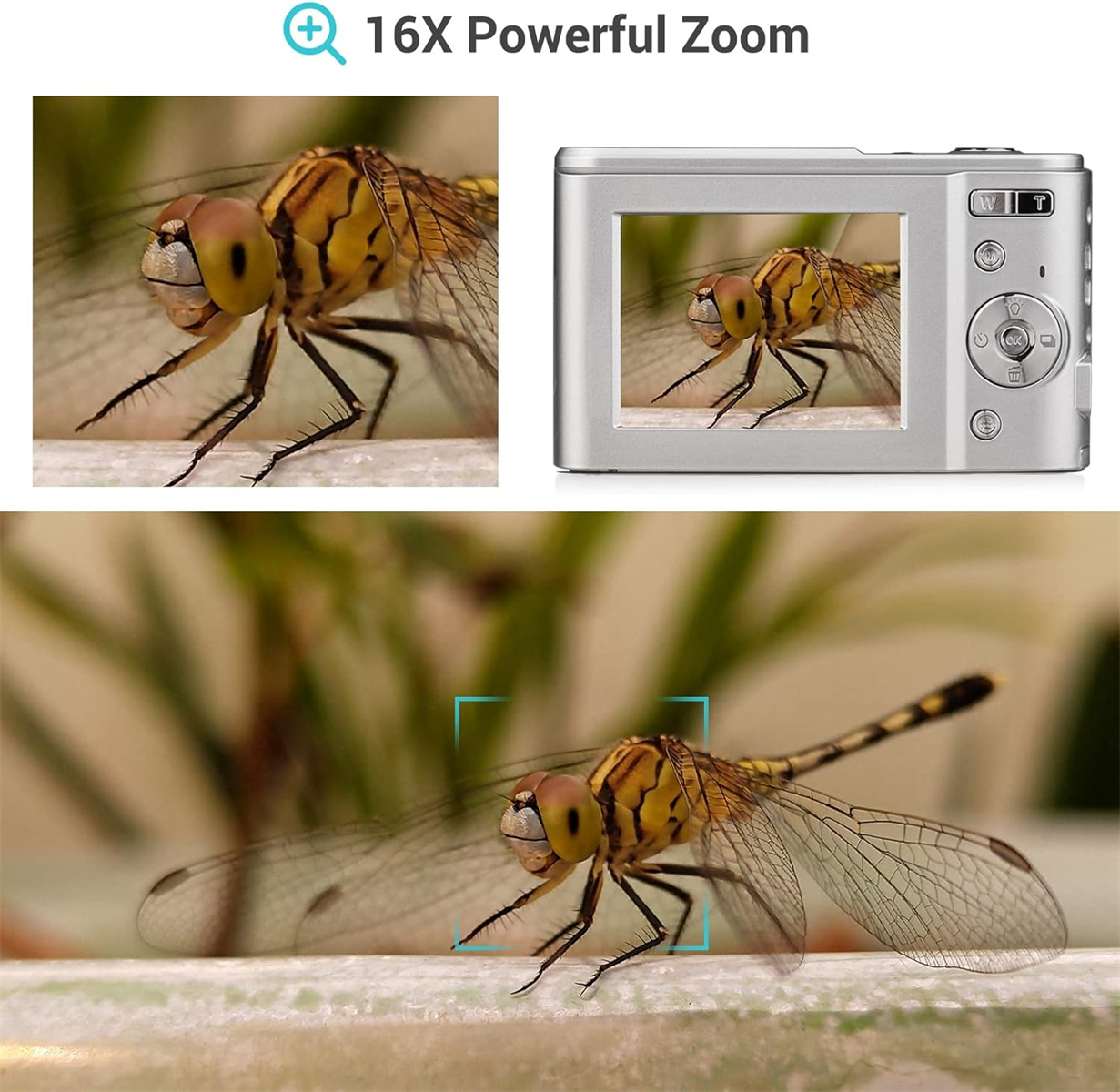 Eine Digitalkamera mit einer Libelle, die 16x Zoom und Nahaufnahmen zeigt.