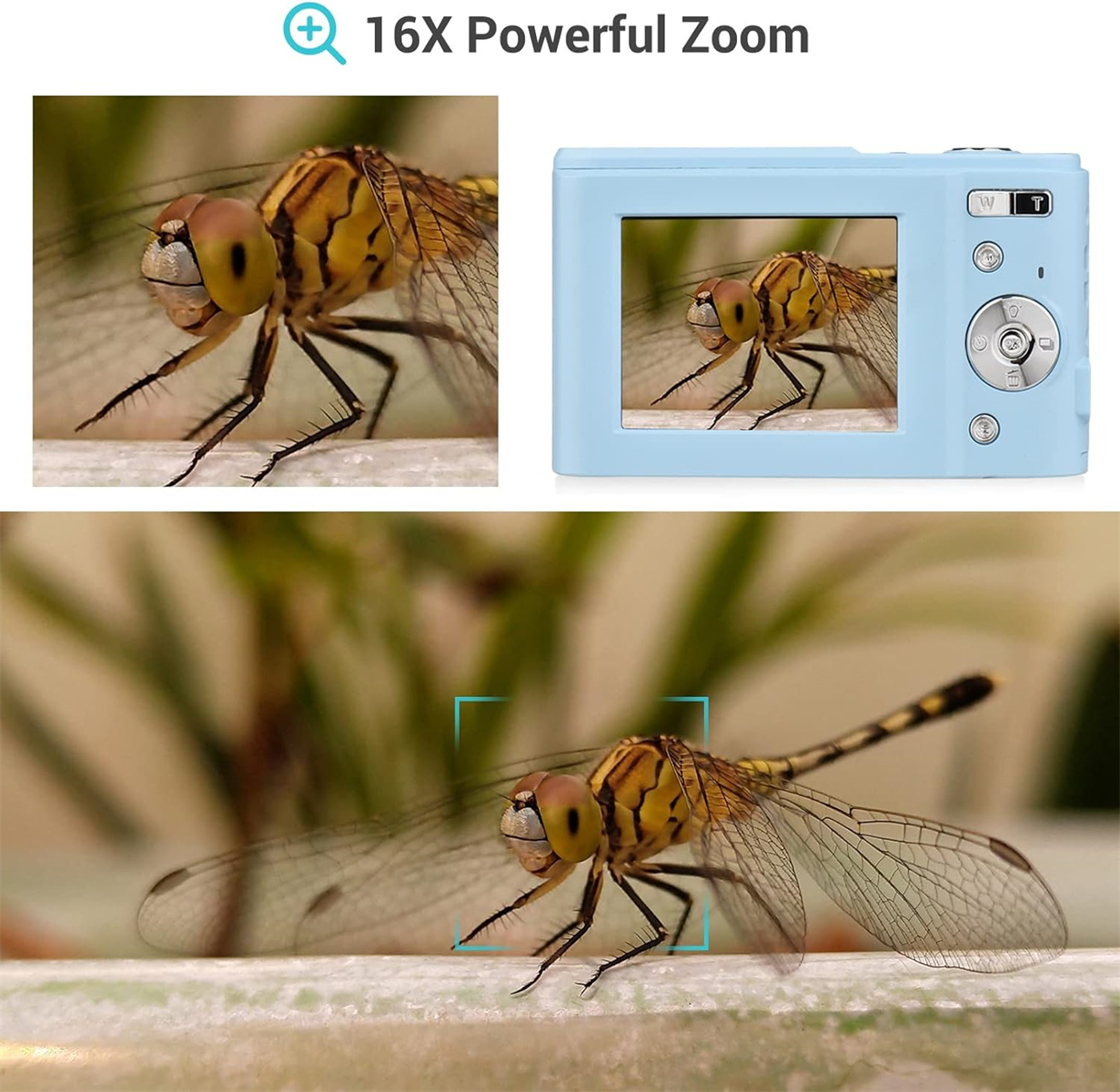 Eine Libelle mit Kamera, die Zoom zeigt. Die Kamera ist blau, die Libelle gelb-schwarz.