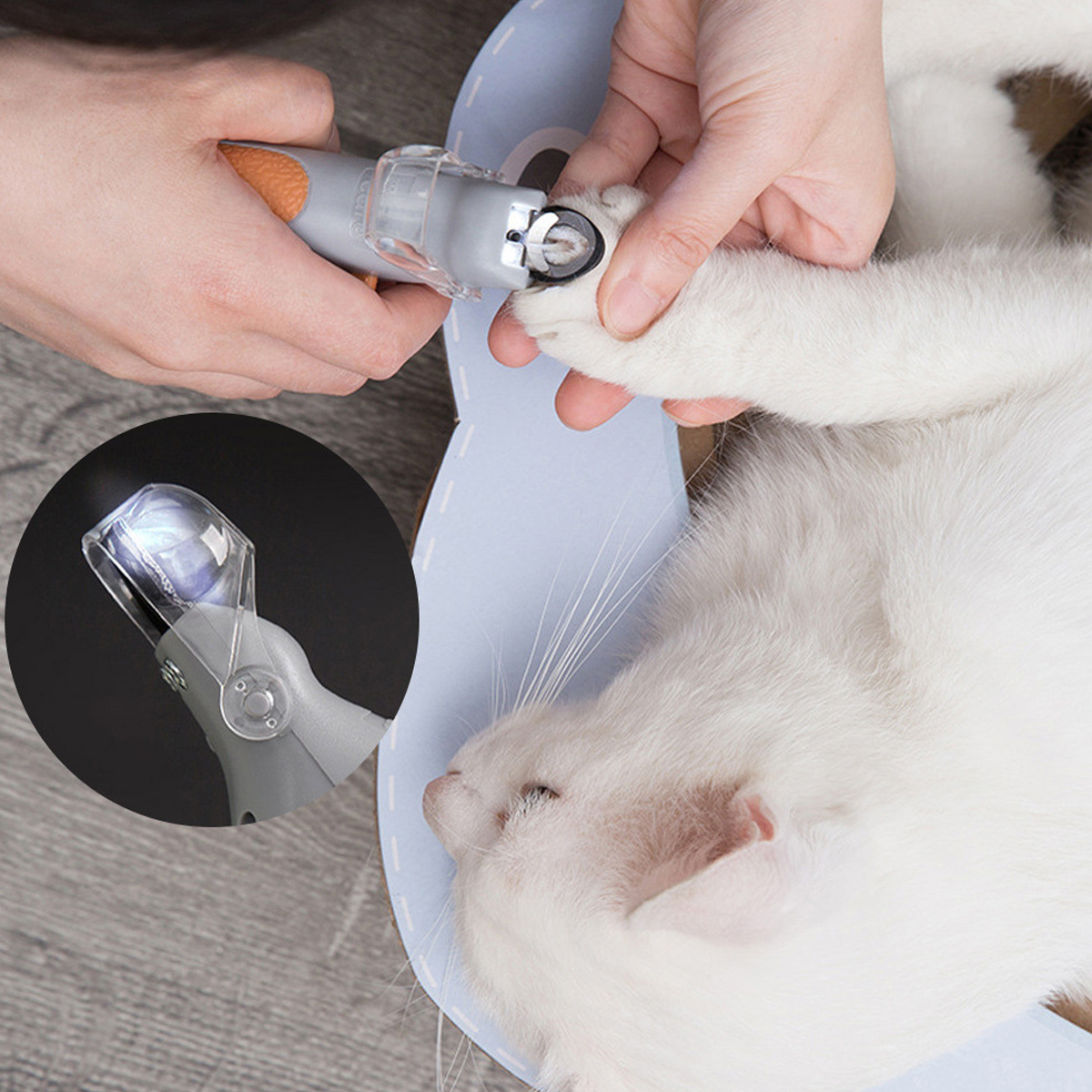Eine Person schneidet einer Katze die Krallen mit einem Clipper. Eine Nahaufnahme der Clipper ist in der Ecke.
