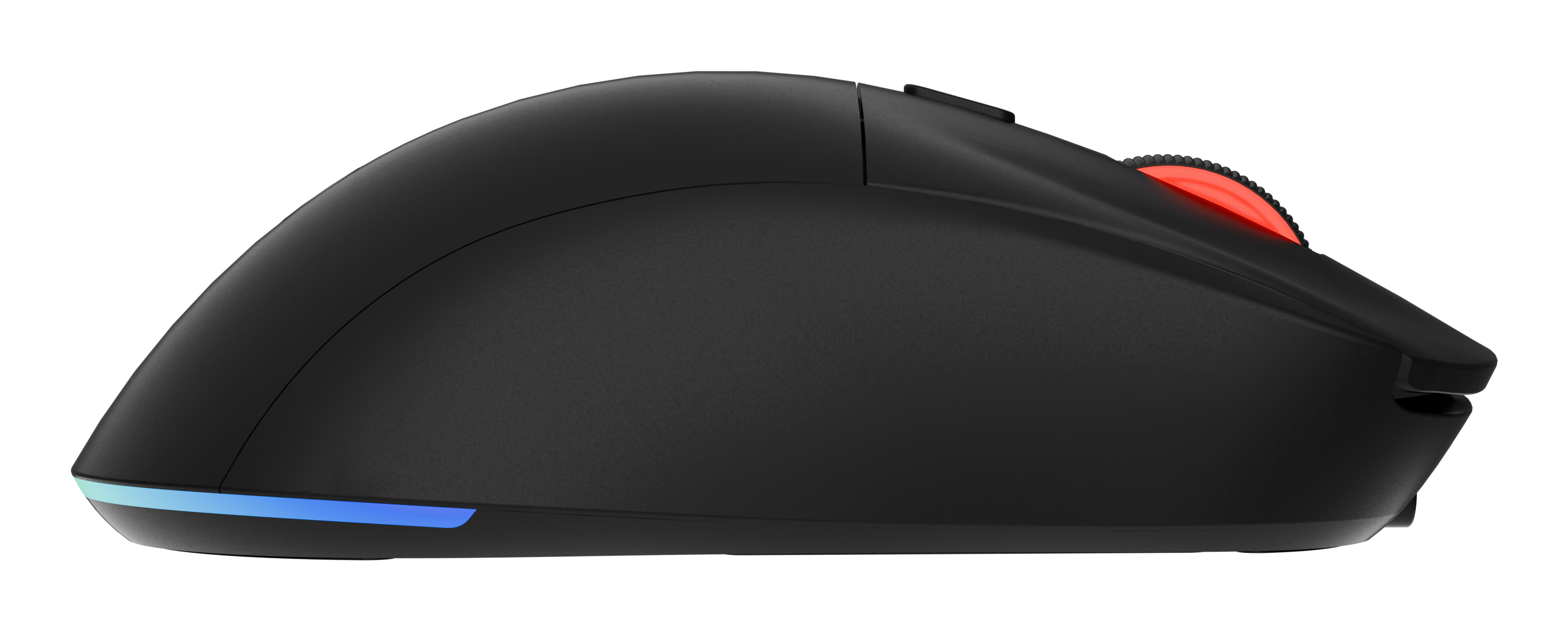 Een zwarte muis met een rood scrollwiel en een blauwe lichtstrip aan de onderkant.