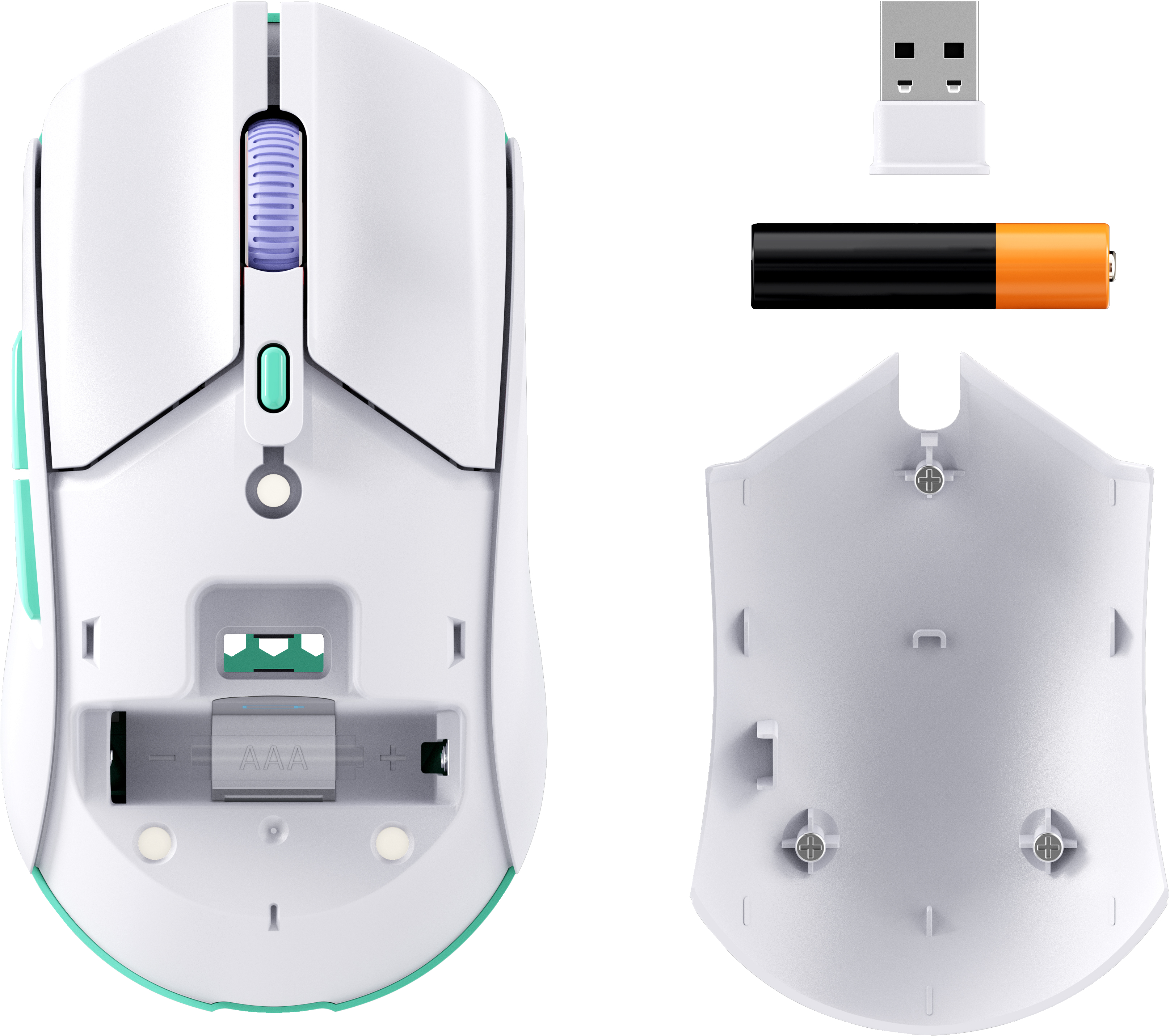 Biała mysz komputerowa z kółkiem przewijania i przyciskami. Komora baterii otwarta, widać baterię.