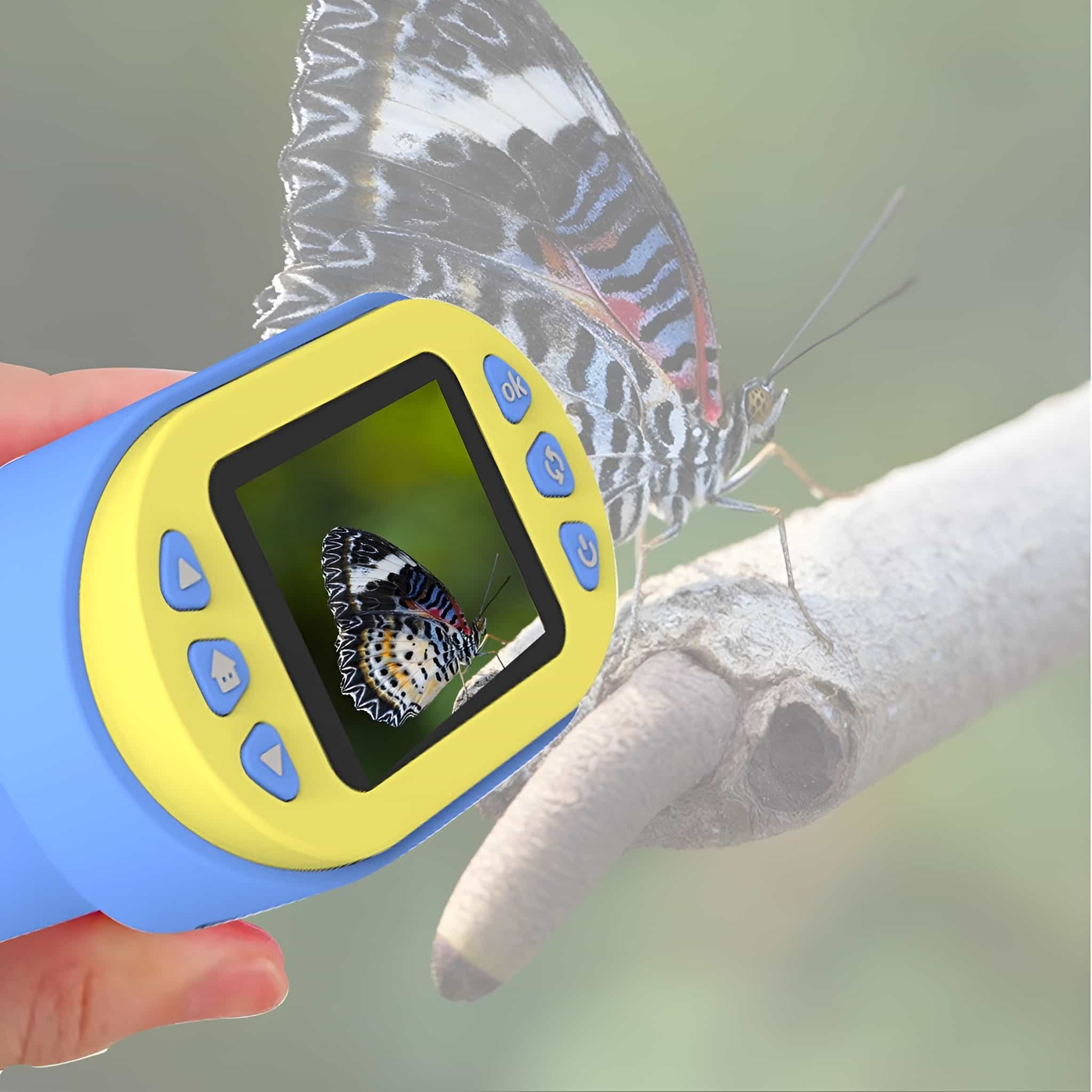 Eine Spielzeugkamera für Kinder ist auf einen Schmetterling gerichtet. Der Schmetterling ist im Kamerabildschirm sichtbar.