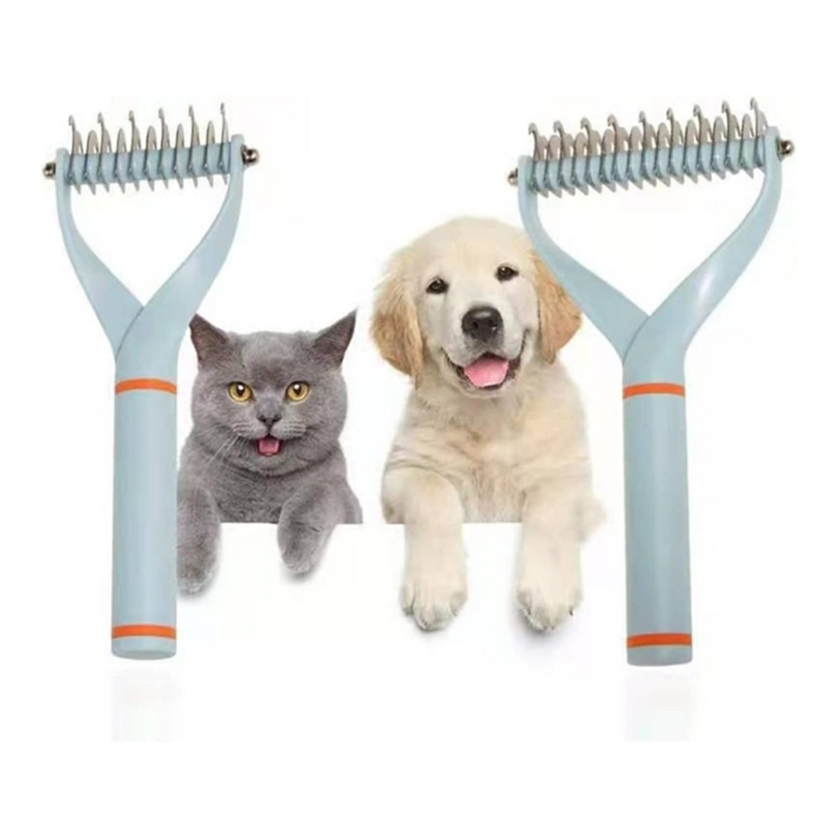 Eine Katze und ein Hund mit Pflegeutensilien.
