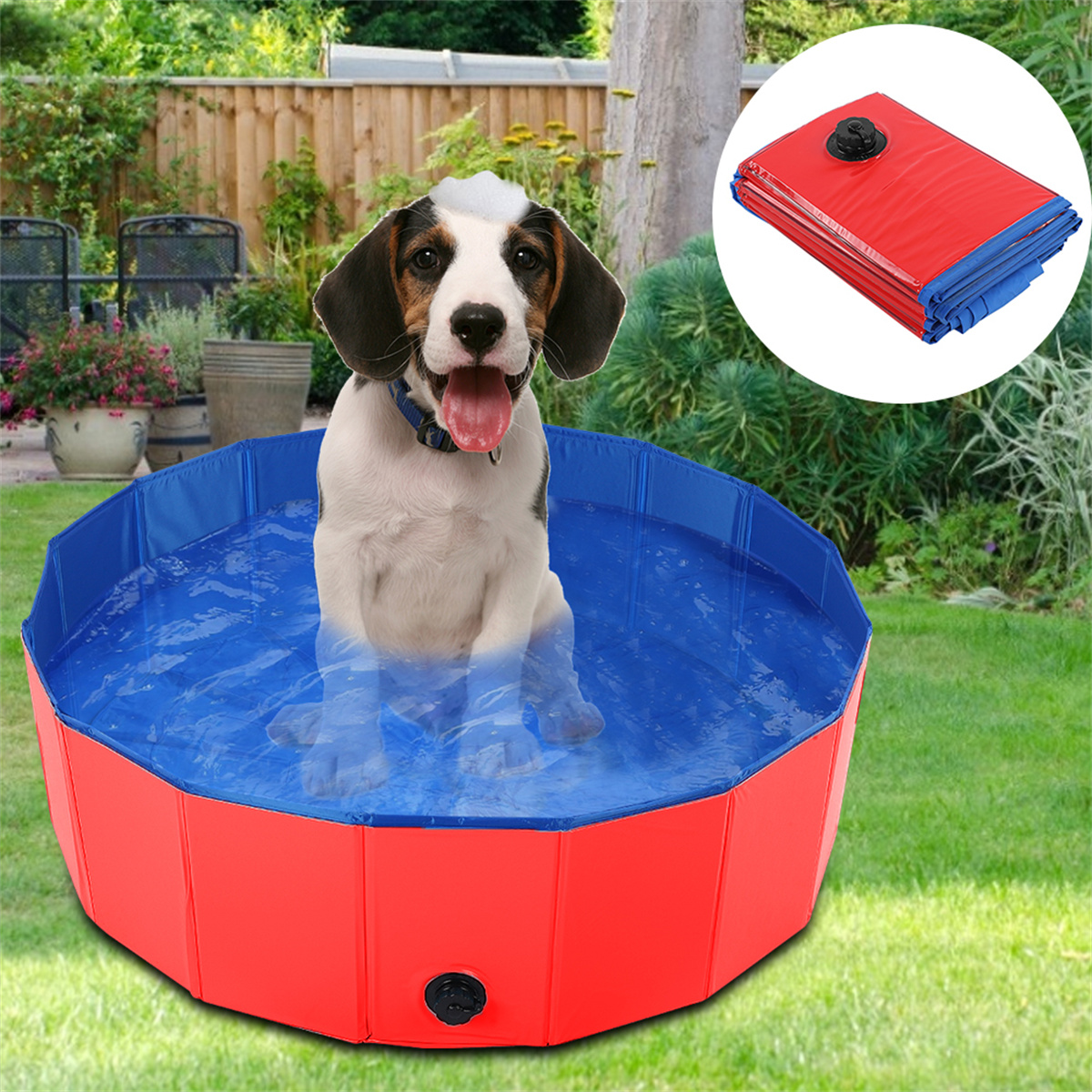 Hund in einem blau-roten Pool, mit einer gefalteten rot-blauen Matte in der Ecke.