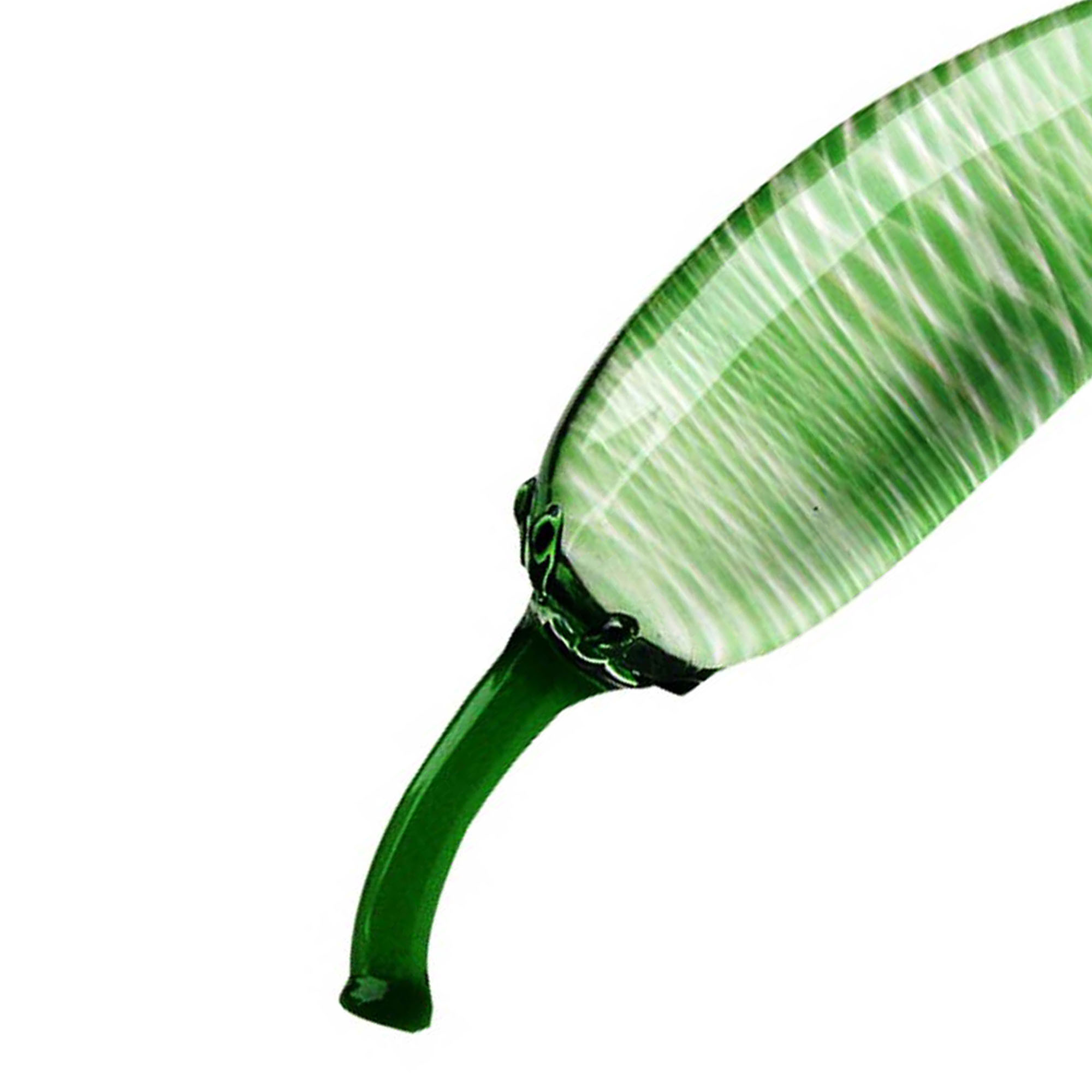 Grüne Glaspaprika mit grünem Stiel. Weißer Hintergrund und schräge Ansicht.