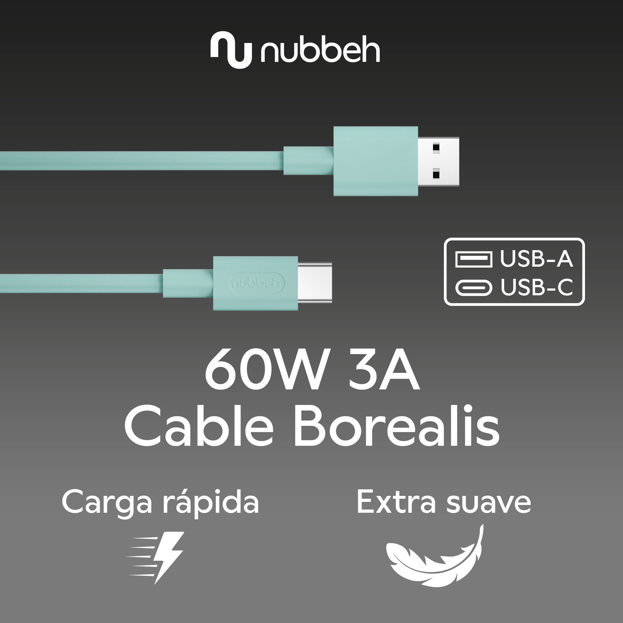 Dos cables USB con texto: 60W 3A Cable Borealis, con símbolos USB-A y USB-C.