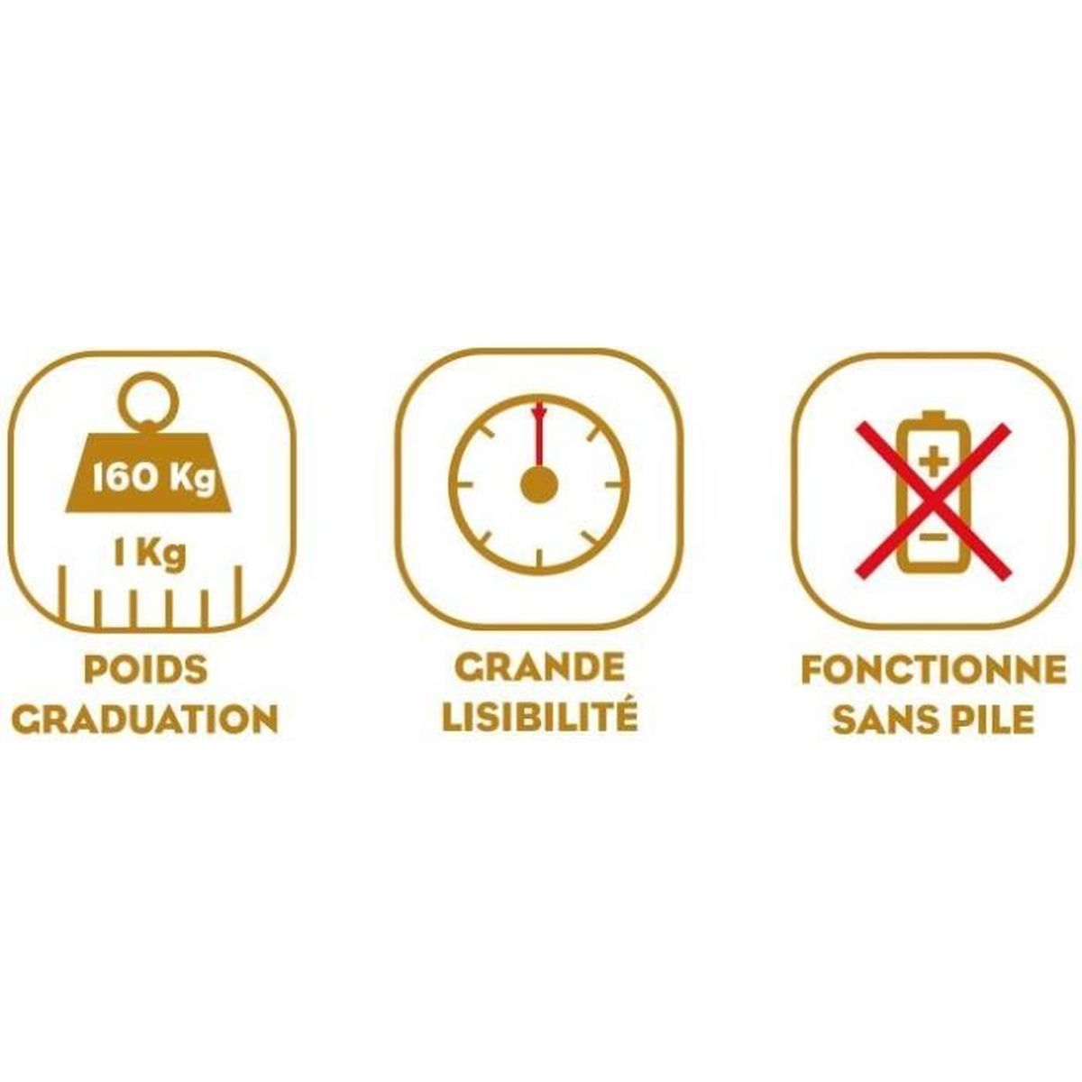 Trzy ikony: waga, zegar i bateria. Pierwsza pokazuje wagę 160 kg.