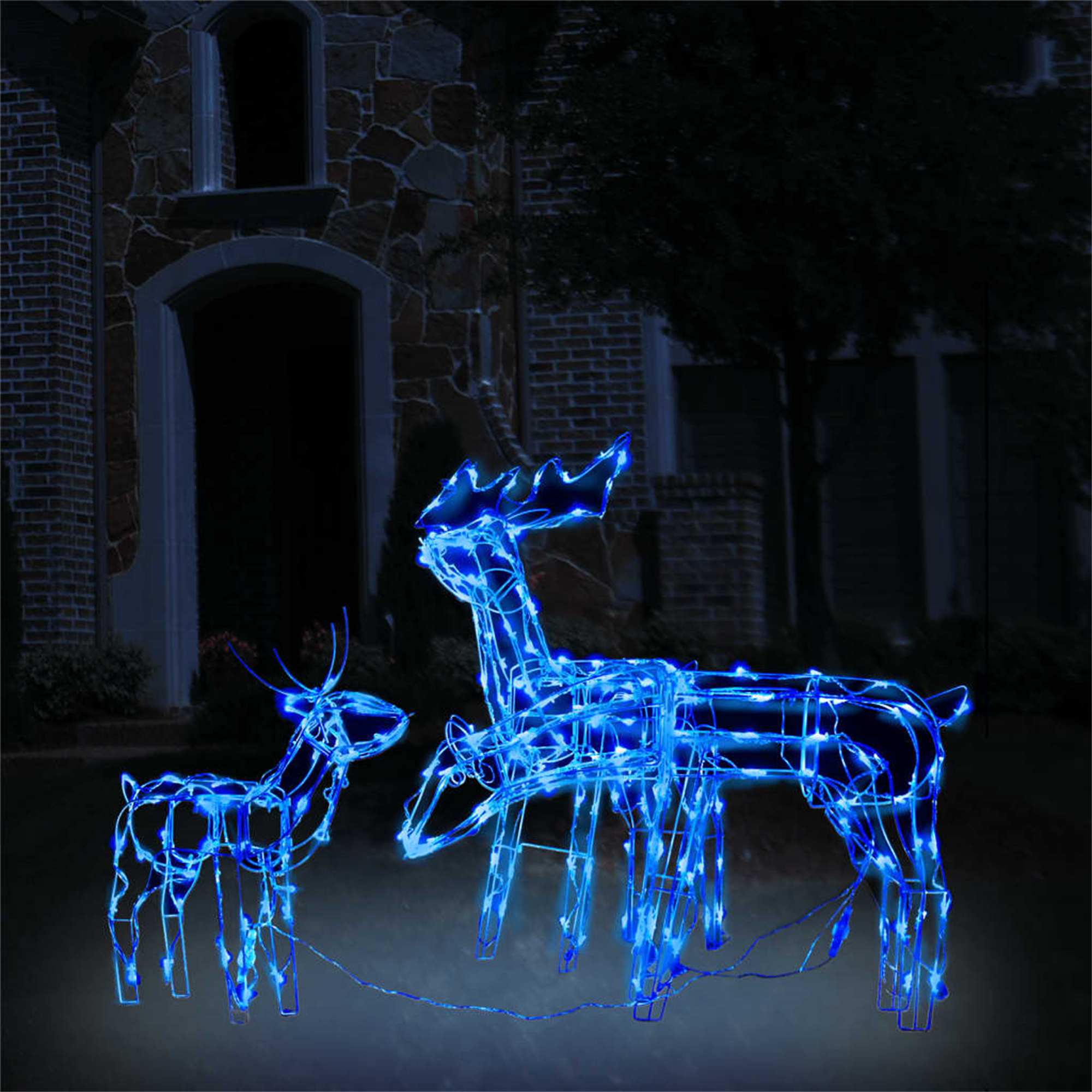 Drei beleuchtete Rentierdekorationen vor einem Haus bei Nacht, blau leuchtend.