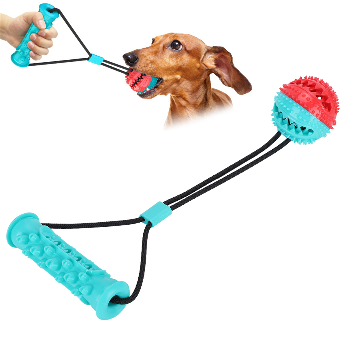 Ein Hund hält einen rot-blauen Ball mit einem Seil. Eine Person hält den Griff.