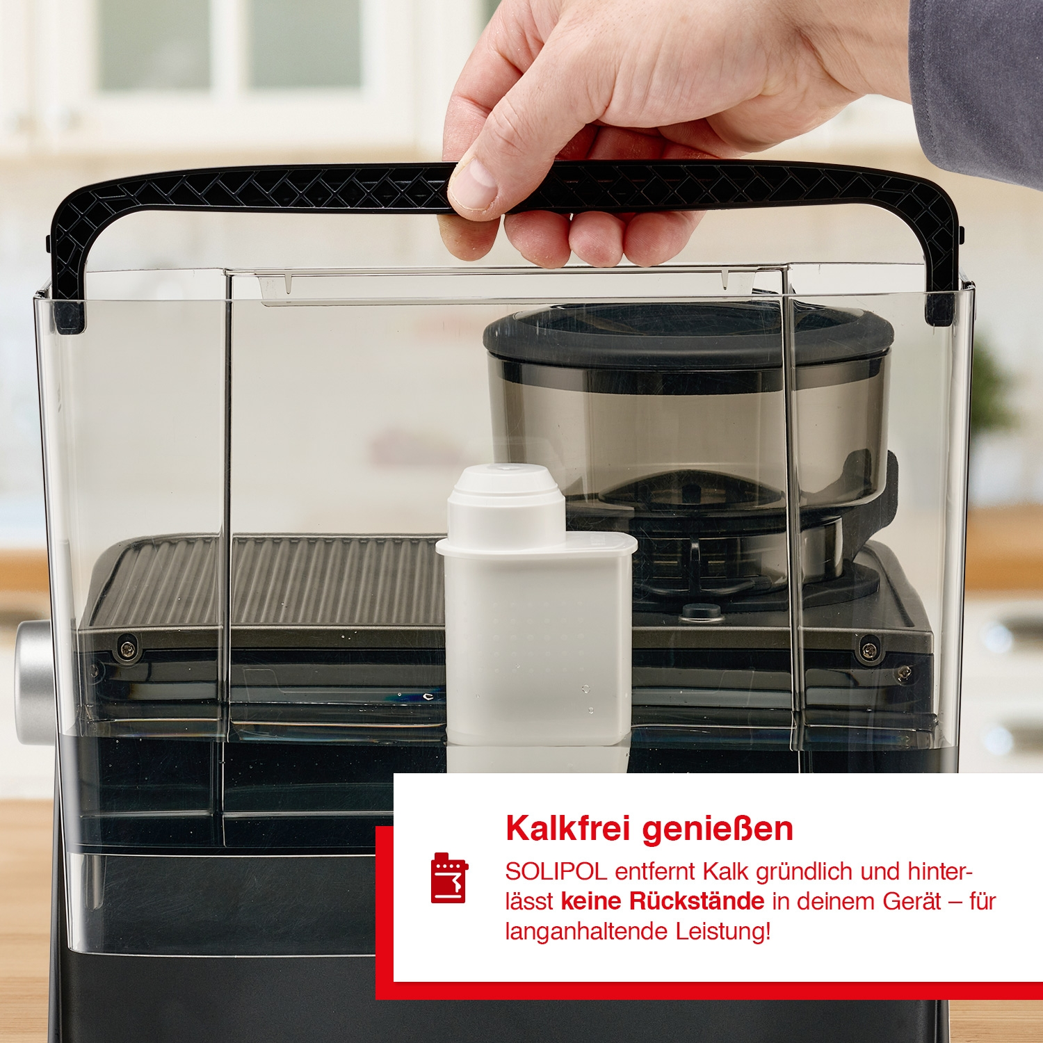 Hand hält Wasserfilter. Text zur Kalkentfernung. Küchenhintergrund.
