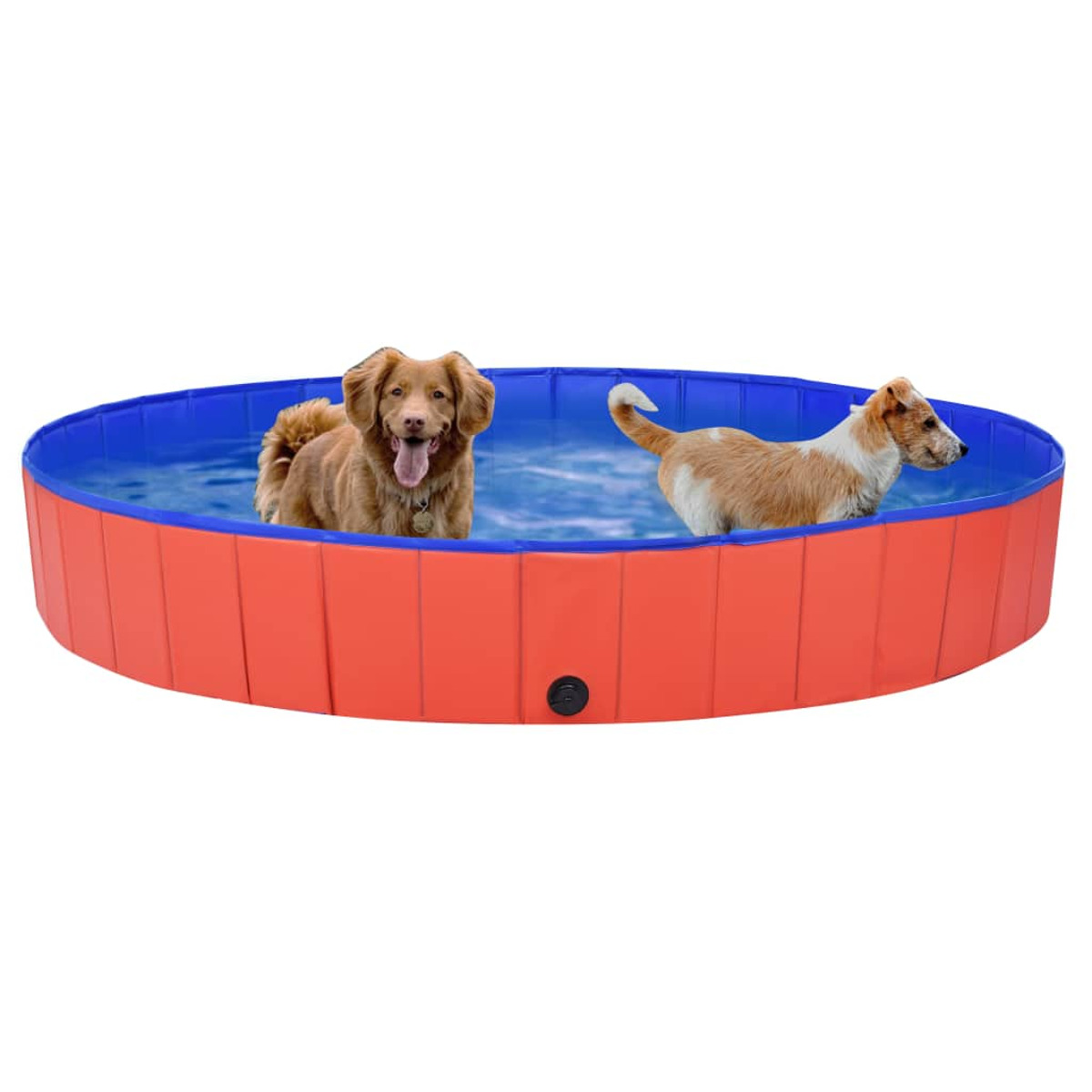 Zwei Hunde in einem rot-blauen Pool, einer braun mit herausgestreckter Zunge, der andere braun und weiß.