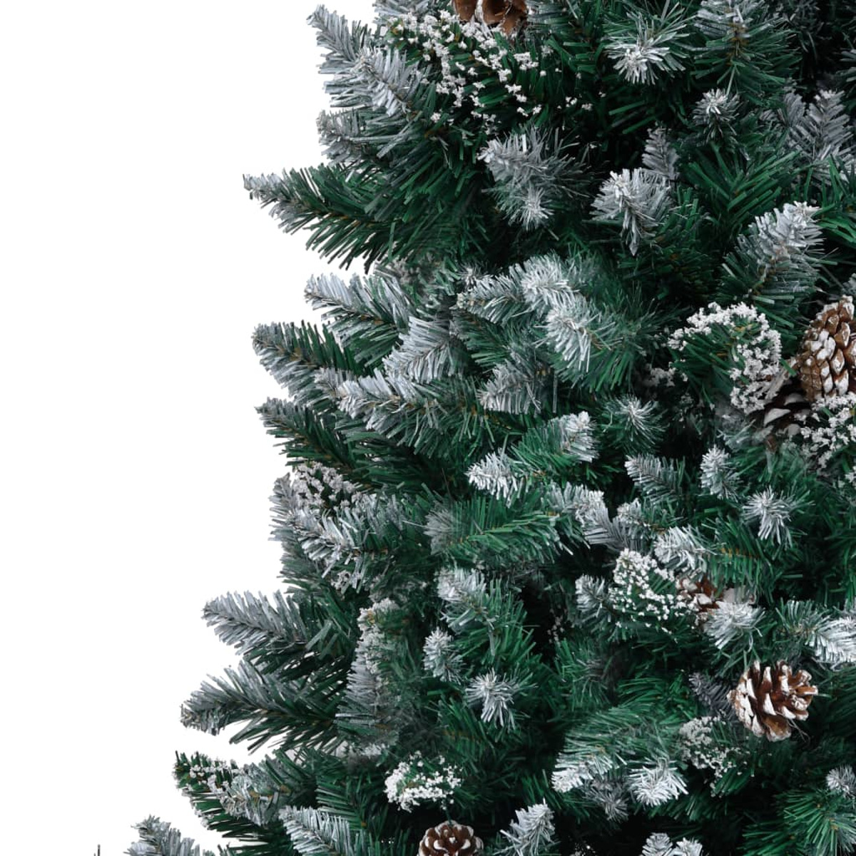 Nahaufnahme eines Weihnachtsbaums mit grünen Nadeln, bereiften Ästen und Tannenzapfen auf weißem Hintergrund.