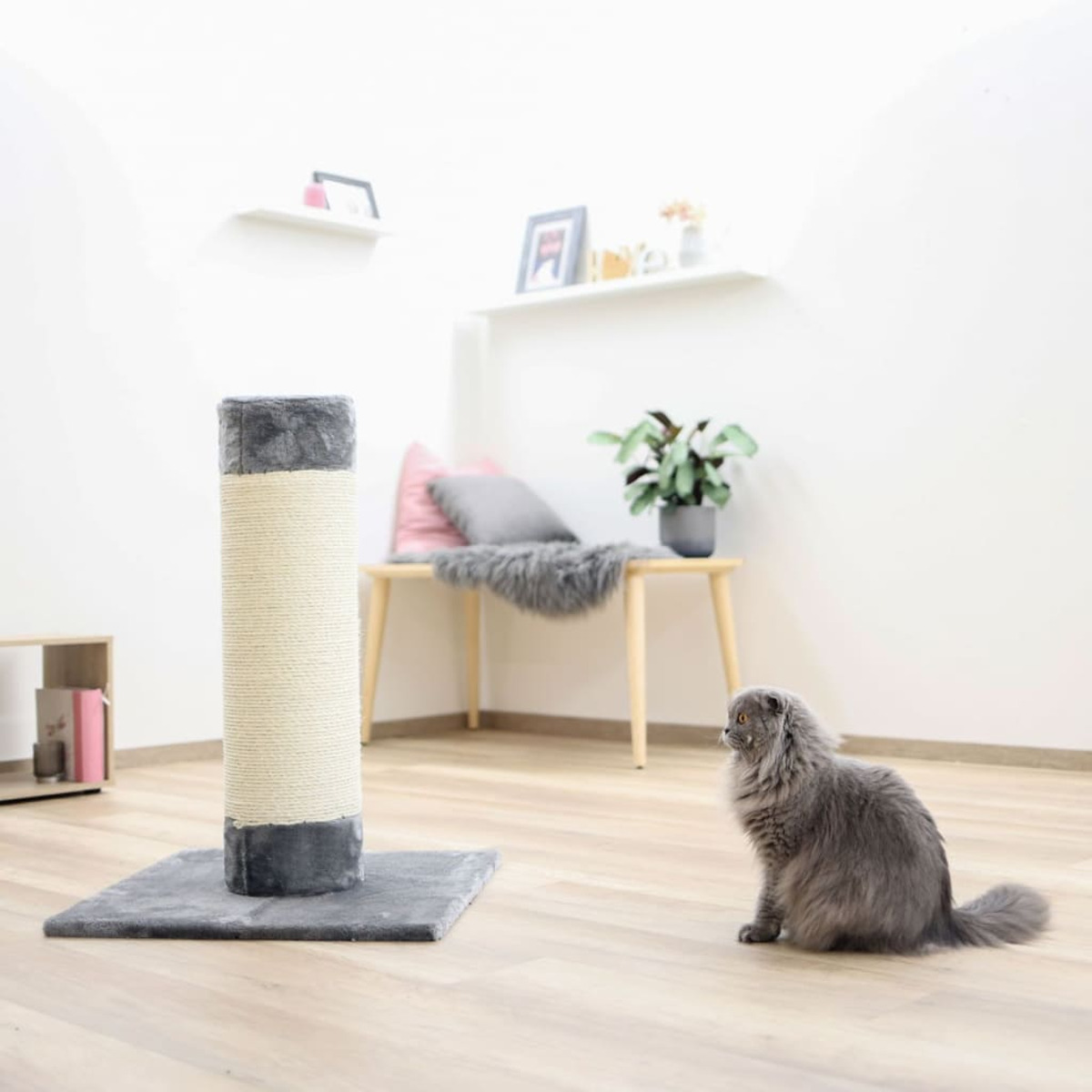 Un gatto grigio siede di fronte a un tiragraffi. Il gatto guarda il palo. La stanza è bianca.