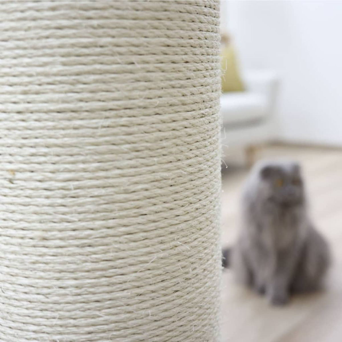 Un tiragraffi di corda bianca. Un gatto grigio è sullo sfondo, sfocato.