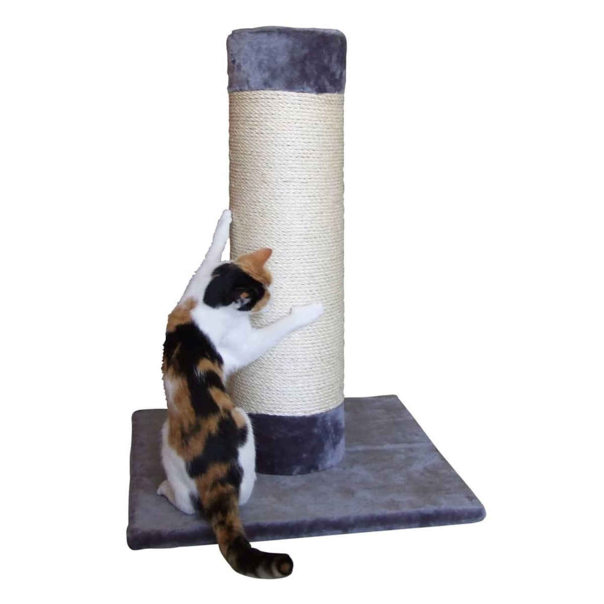 Un gatto calico graffia un tiragraffi. Il palo è cilindrico e rivestito di corda.