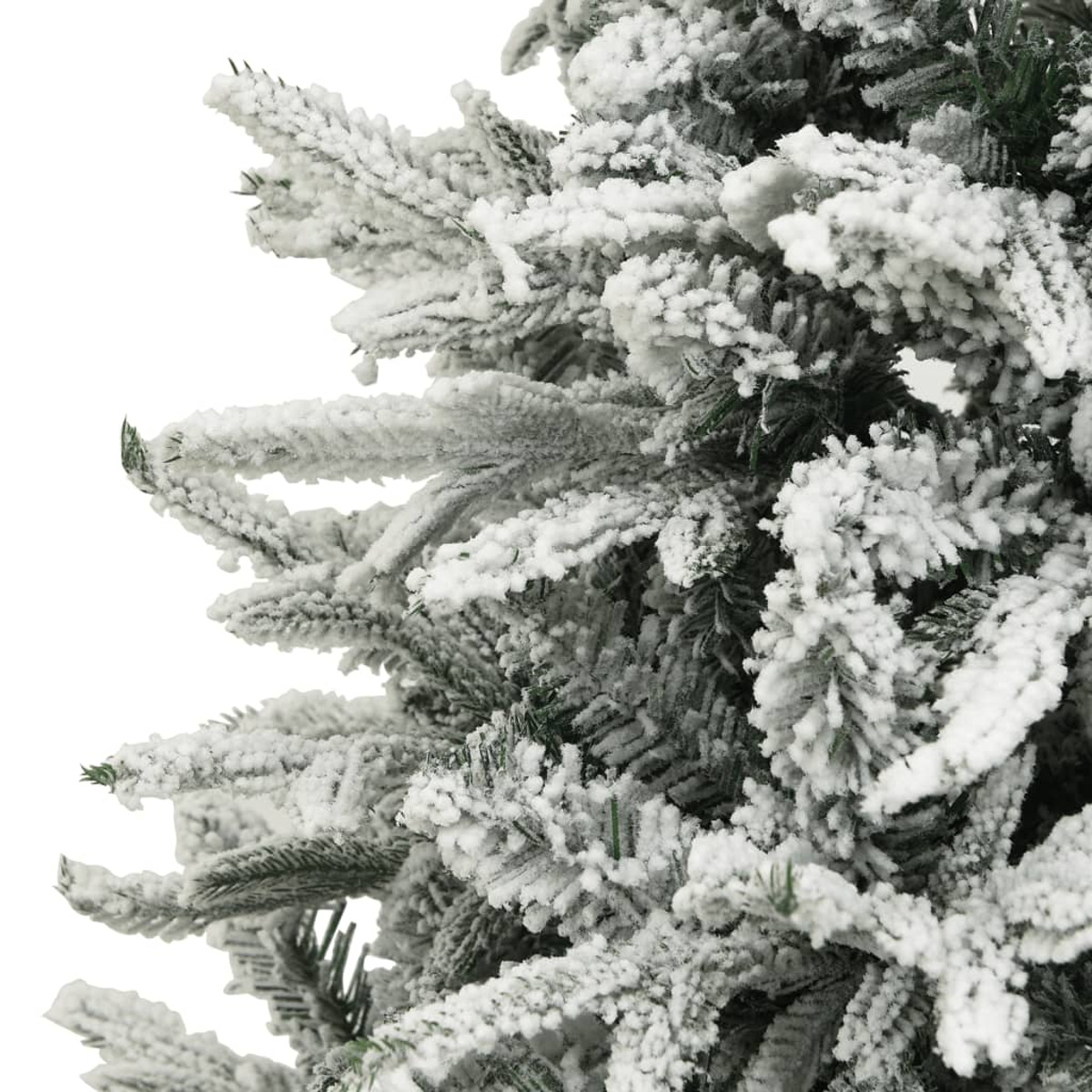 Nahaufnahme eines schneebedeckten Weihnachtsbaumzweigs auf Weiß.