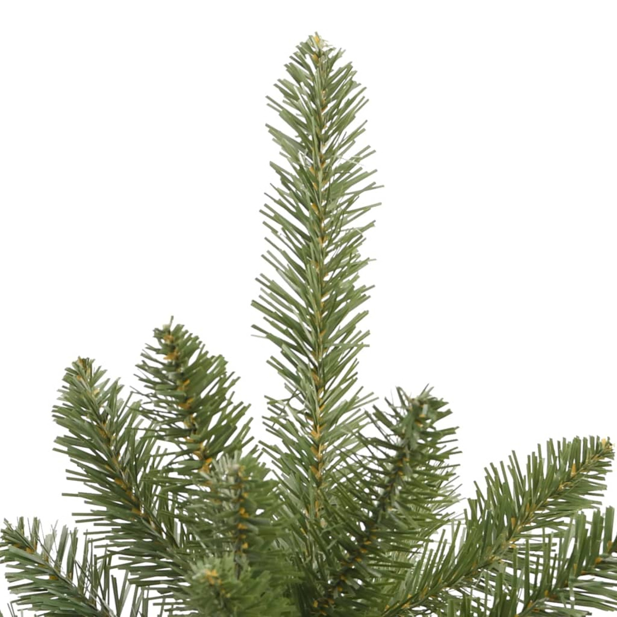 Nahaufnahme der Spitze eines grünen Weihnachtsbaums, weißer Hintergrund.