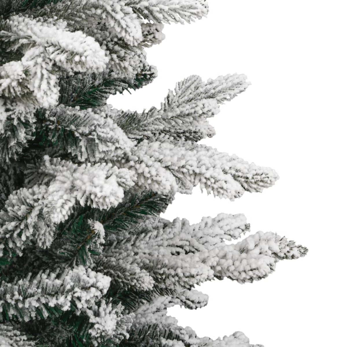 Nahaufnahme von schneebedeckten Weihnachtsbaumzweigen vor weißem Hintergrund. Grüne Nadeln.