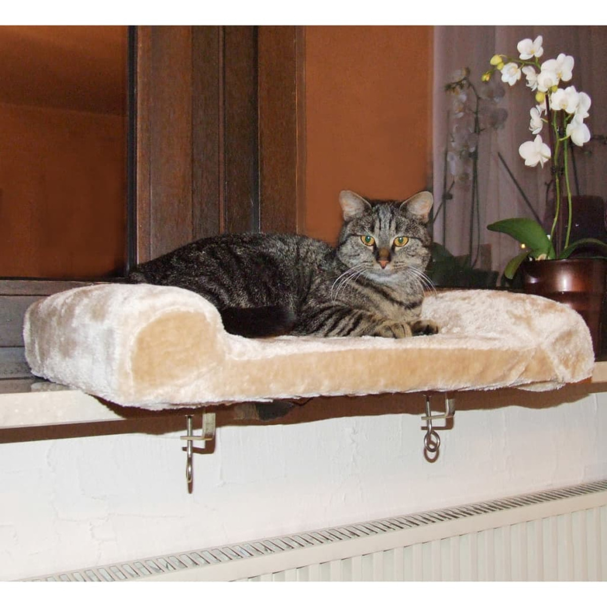Katze auf beigem Fensterbrett, brauner Tabby mit gelben Augen. Fenster und Pflanze im Hintergrund.