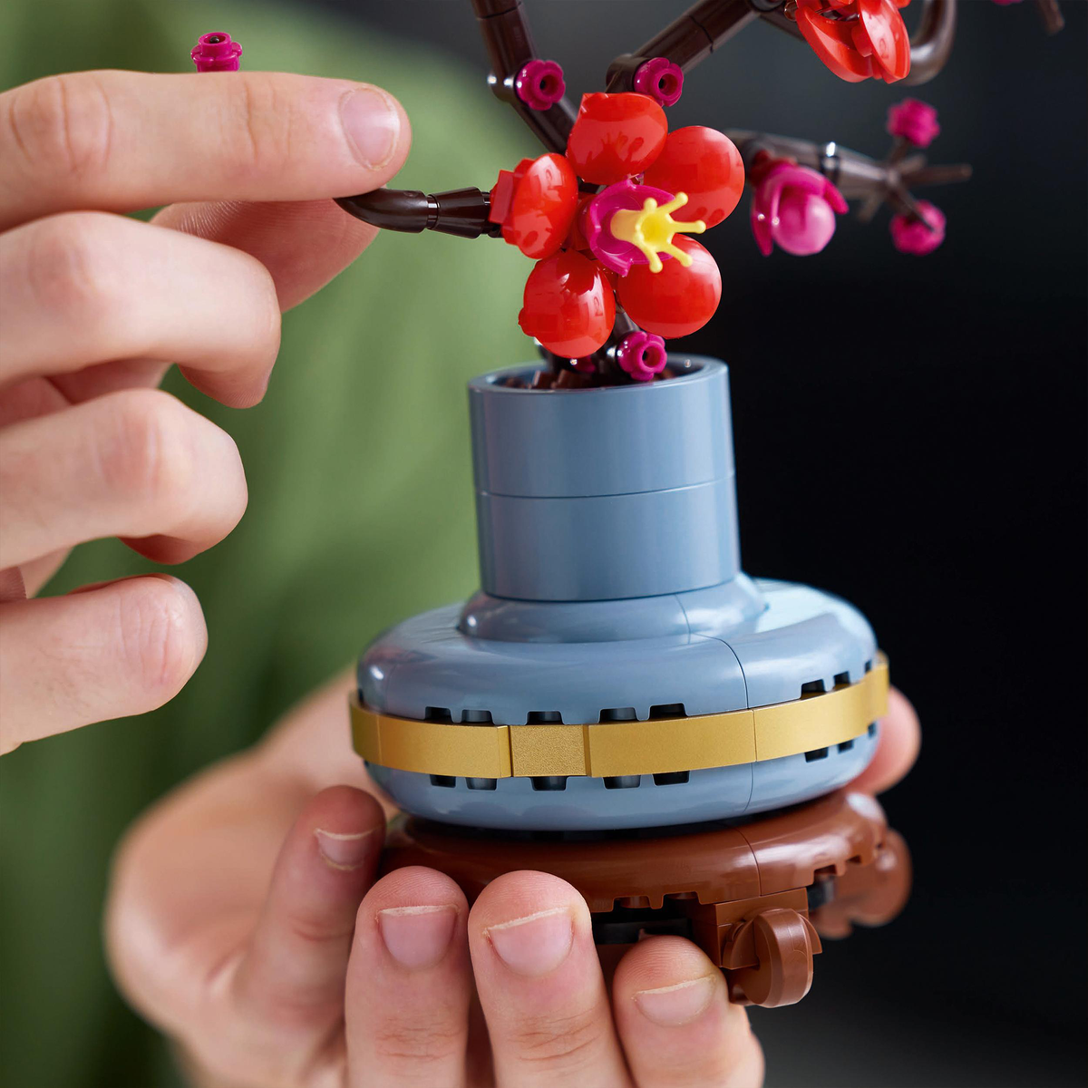 LEGO LEGO Botanicals 10369 Japanse Abrikoos Lego-bouwset Veelkleurig
