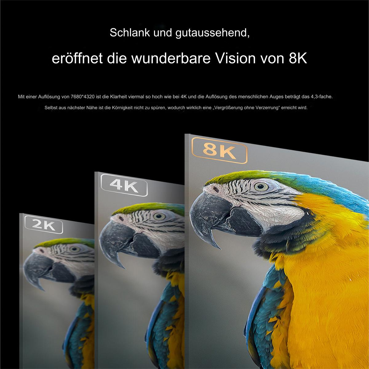 Papageien auf einem Bildschirm mit Auflösungen 2k, 4k und 8k, mit Text darüber.