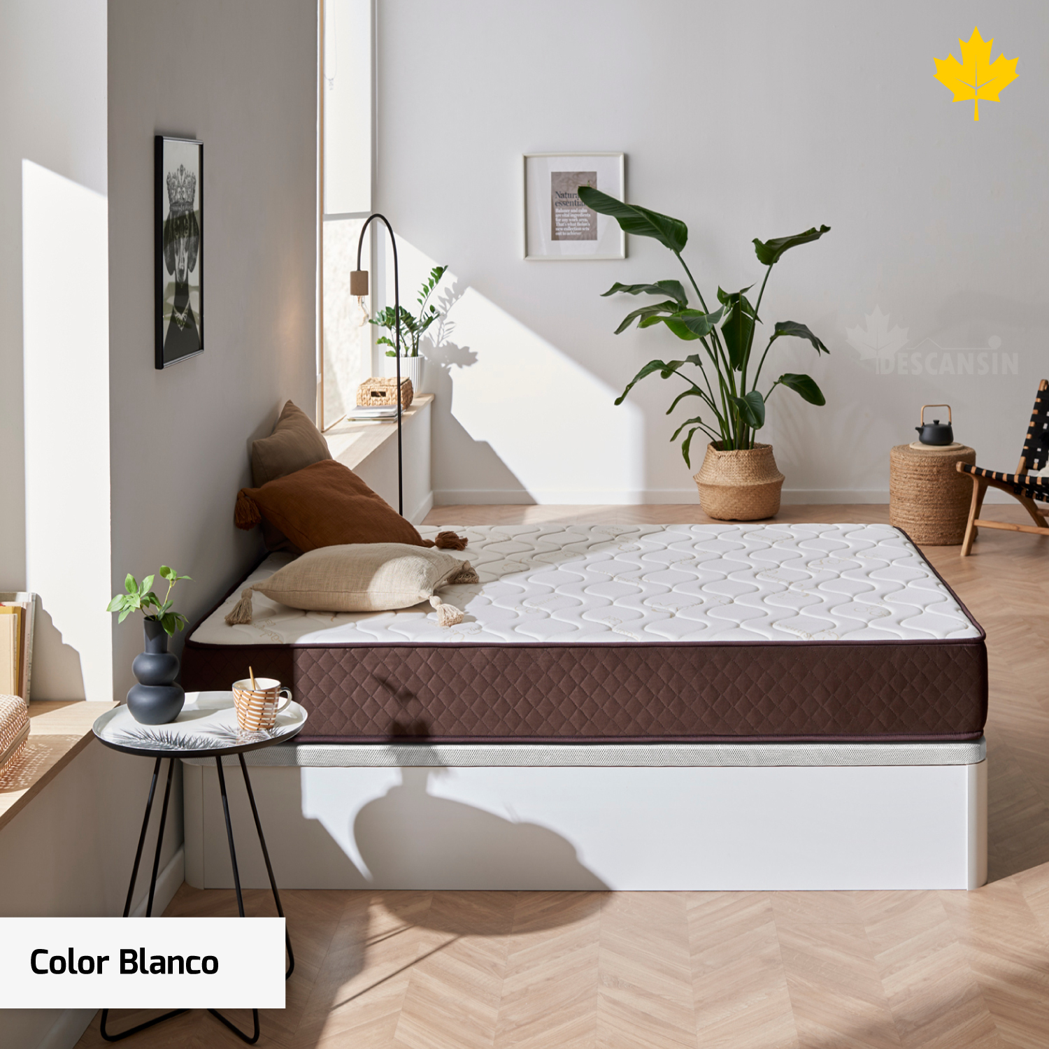 Un dormitorio moderno con cama blanca, detalles marrones y planta grande. La pared es blanca.