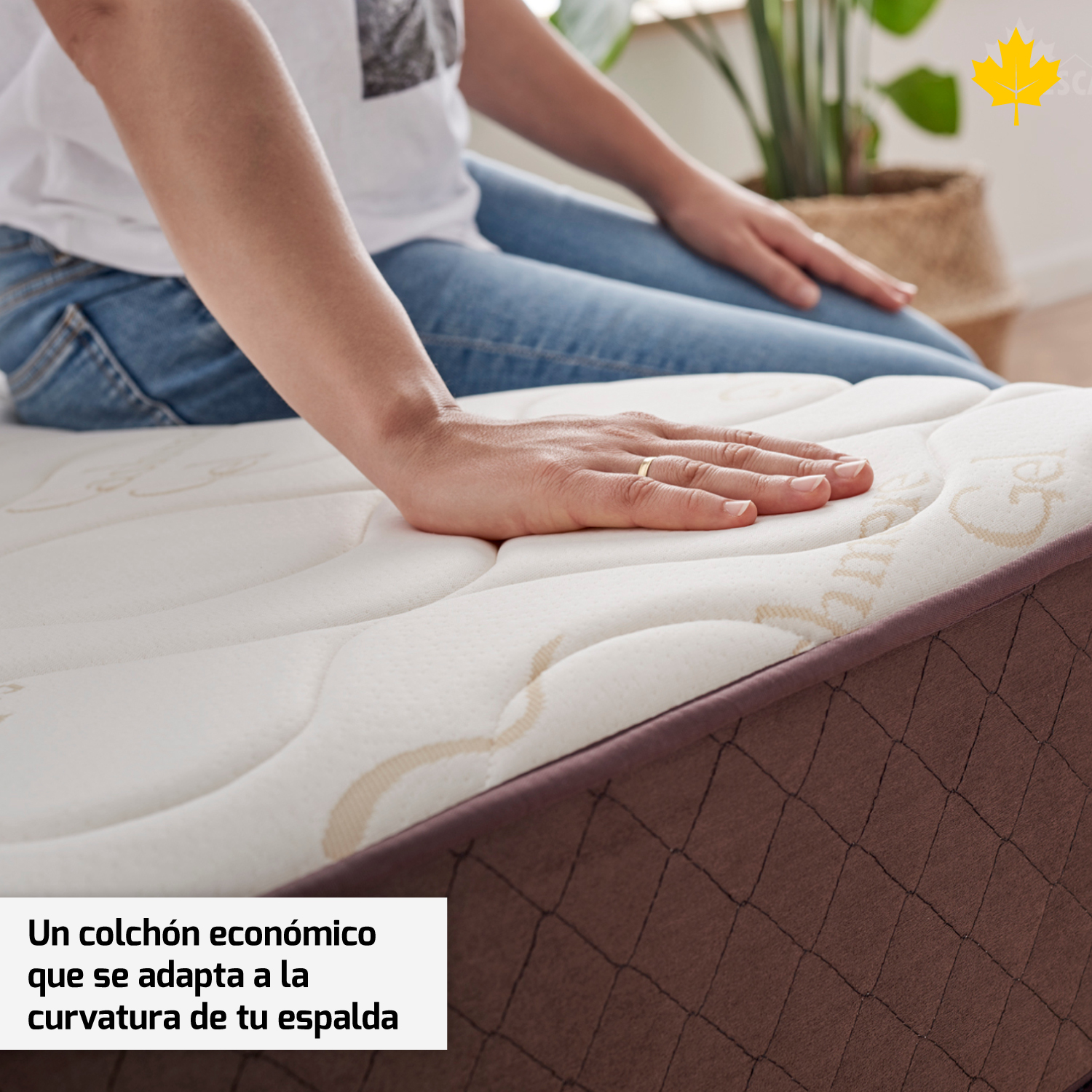 Mano de una persona sobre un colchón con texto, el colchón tiene borde marrón.